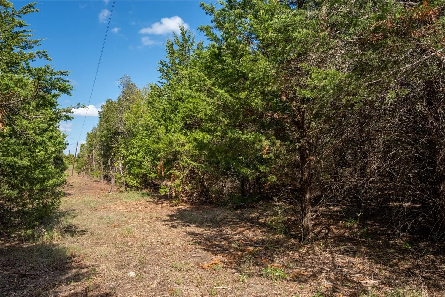 Unimproved Land For Sale in Collin County , TBD County Road 936, Anna, Texas 75409, 0, 0, Garage spaces, 0 Sqft, built in 0, mls#21412838, Real Estate Agent in Anna, Homes For Sale in Collin county, Homes For Sale in Anna, Realtor in Anna Texas, Real Estate Brokerage Independent Realty Texas, Luminita Cordes Realtor