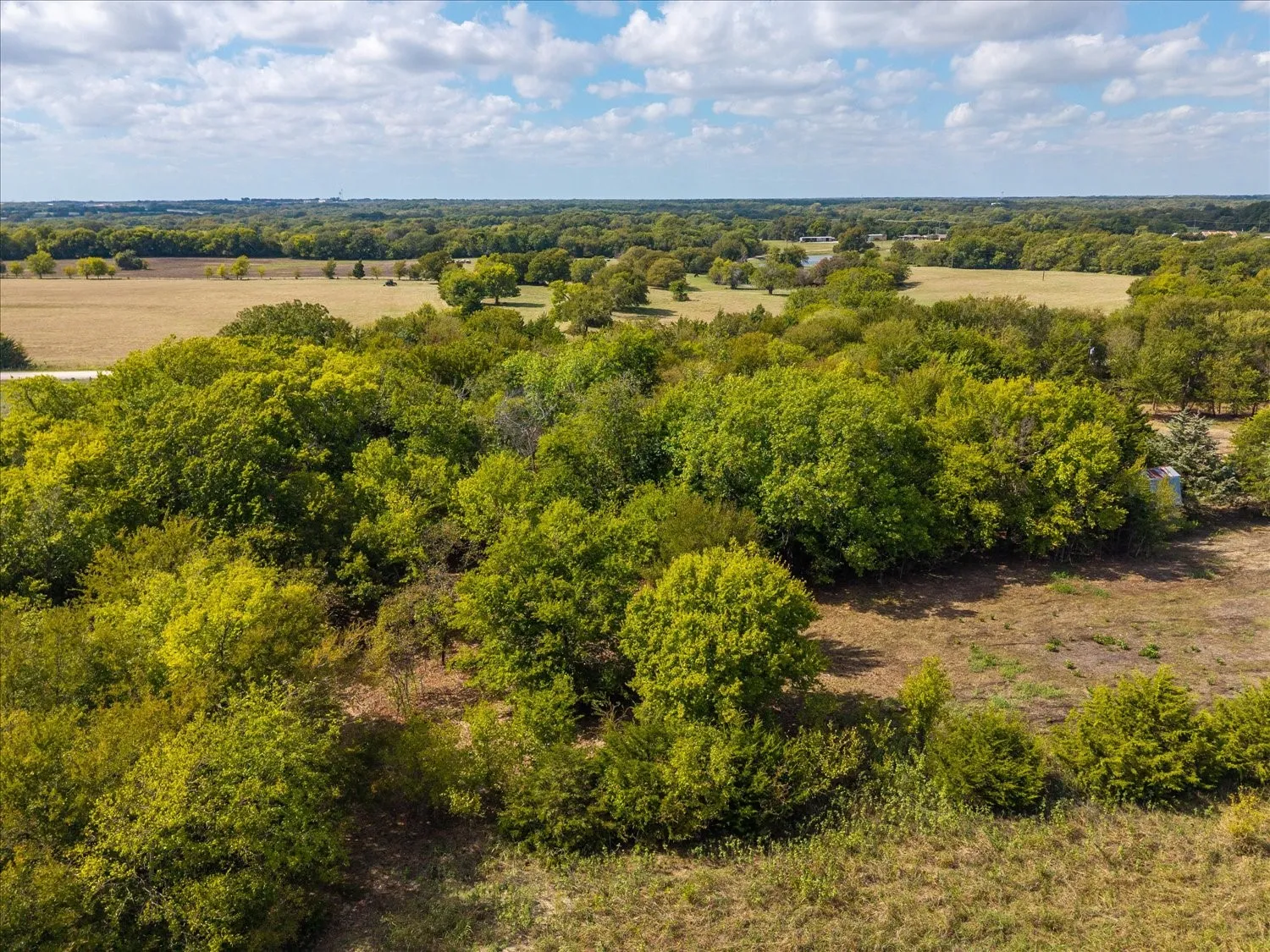 Unimproved Land For Sale in Collin County , TBD County Road 936, Anna, Texas 75409, 0, 0, Garage spaces, 0 Sqft, built in 0, mls#21412838, Real Estate Agent in Anna, Homes For Sale in Collin county, Homes For Sale in Anna, Realtor in Anna Texas, Real Estate Brokerage Independent Realty Texas, Luminita Cordes Realtor