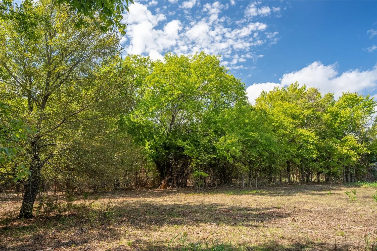 Unimproved Land For Sale in Collin County , TBD County Road 936, Anna, Texas 75409, 0, 0, Garage spaces, 0 Sqft, built in 0, mls#21412838, Real Estate Agent in Anna, Homes For Sale in Collin county, Homes For Sale in Anna, Realtor in Anna Texas, Real Estate Brokerage Independent Realty Texas, Luminita Cordes Realtor