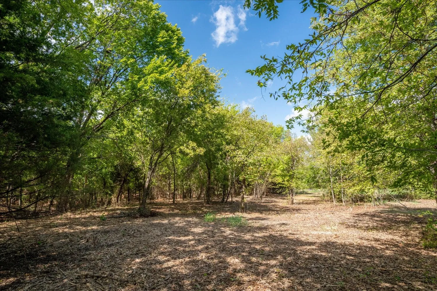 Unimproved Land For Sale in Collin County , TBD County Road 936, Anna, Texas 75409, 0, 0, Garage spaces, 0 Sqft, built in 0, mls#21412838, Real Estate Agent in Anna, Homes For Sale in Collin county, Homes For Sale in Anna, Realtor in Anna Texas, Real Estate Brokerage Independent Realty Texas, Luminita Cordes Realtor