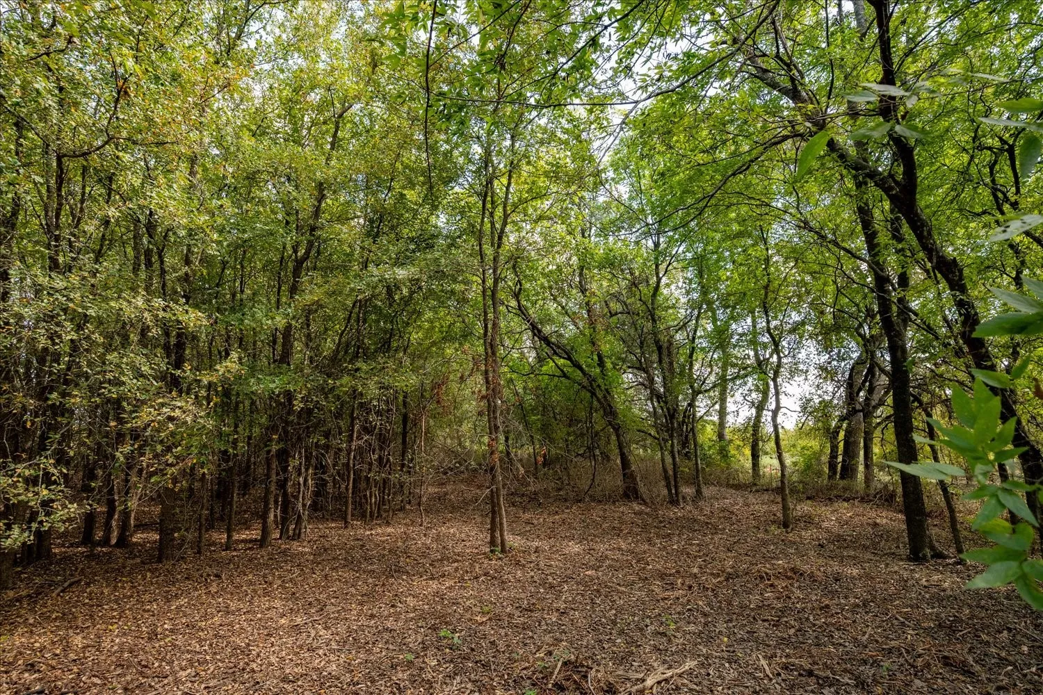 Unimproved Land For Sale