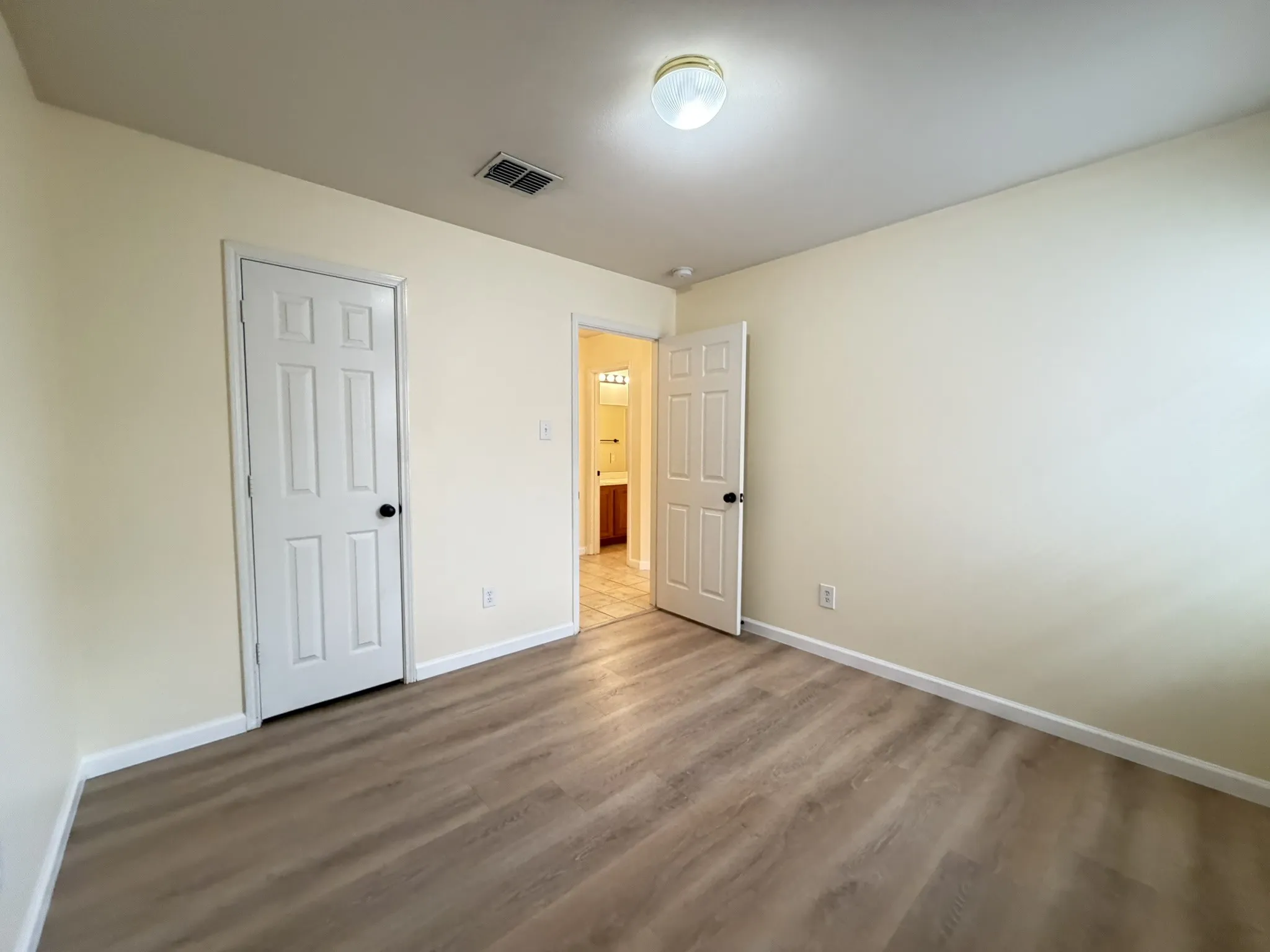Room featuring wood-finish flooring, two six-panel doors, and a flush-mount ceiling light fixture