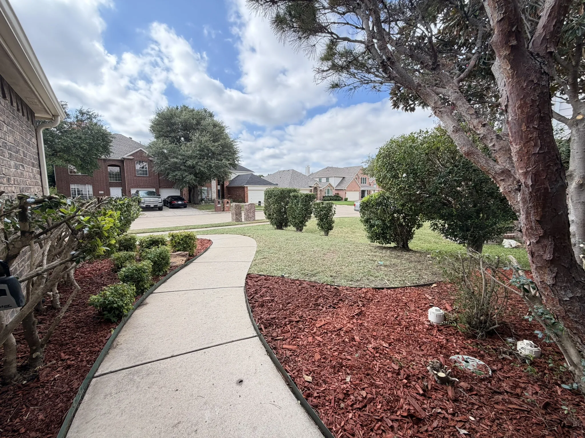 Curved concrete walkway bordered by mulch beds, manicured turf, shrubbery, and mature trees