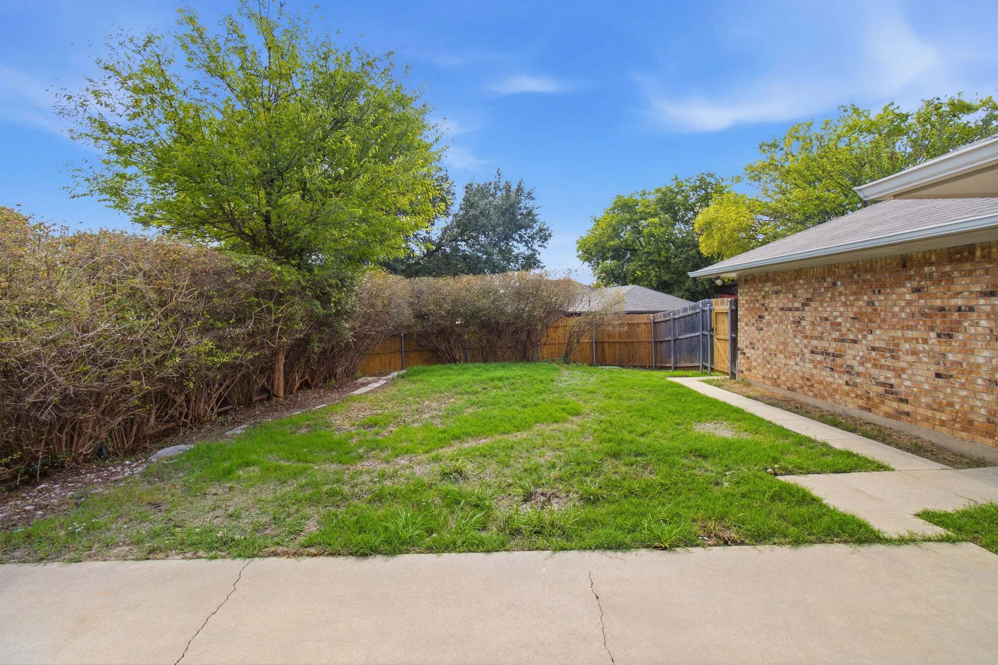 Fenced backyard featuring a brick exterior wall, concrete patio, grass lawn, and mature perimeter hedging