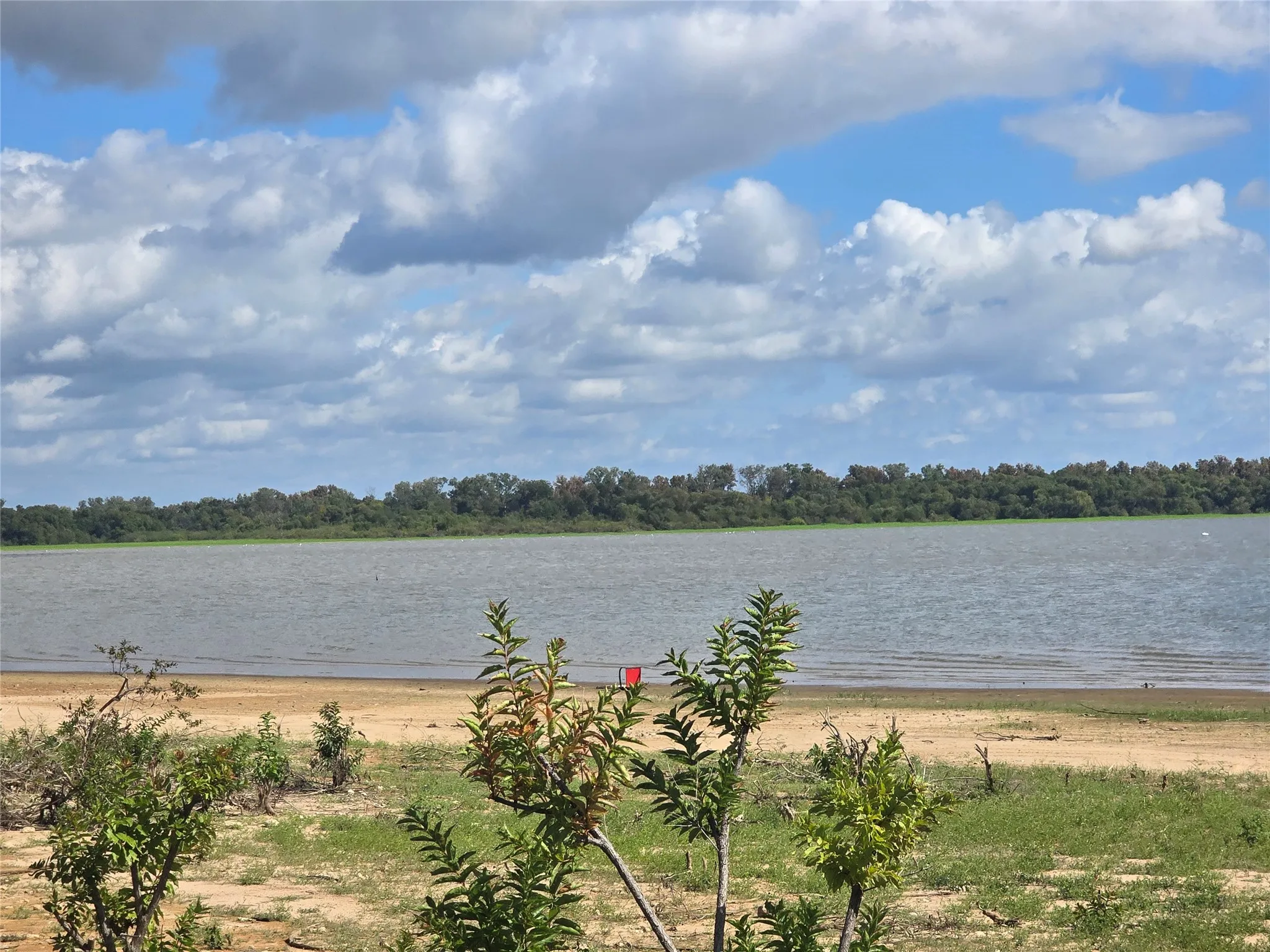 Waterfront property featuring sandy shoreline, native vegetation, and expansive natural landscape