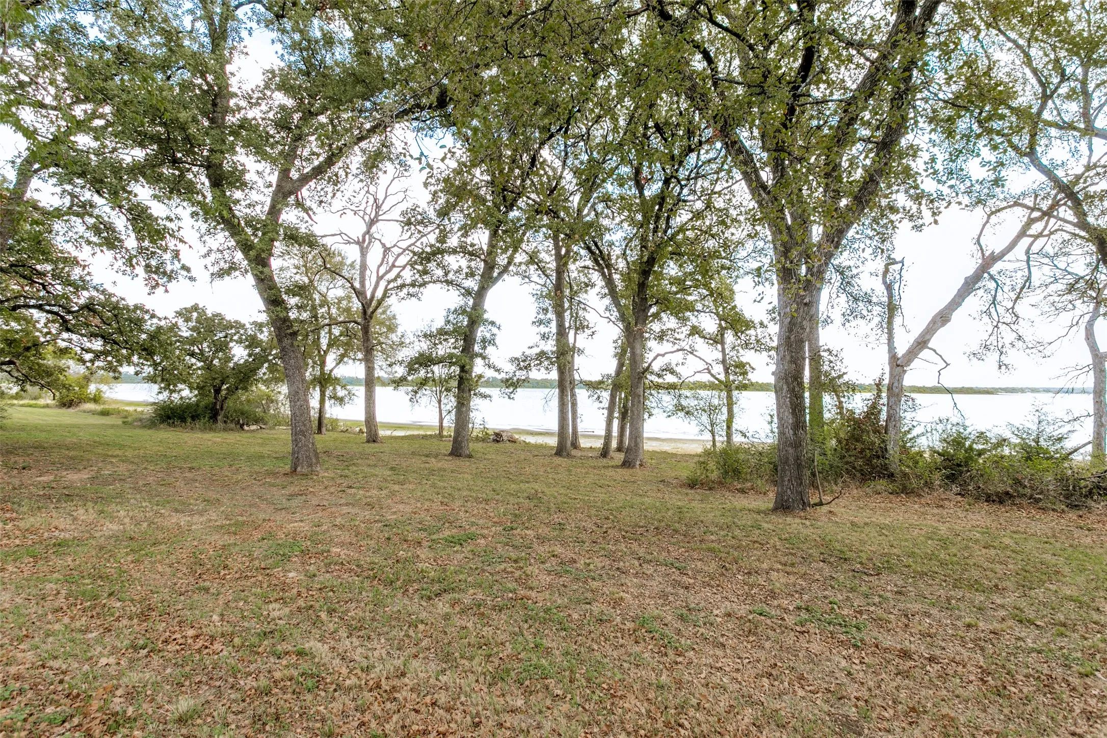 Expansive lot featuring mature hardwood trees, natural landscaping, and direct water frontage