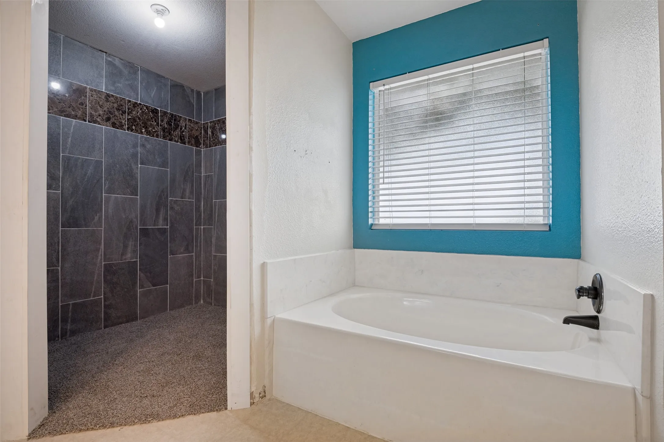 Primary Bathroom Expansion: The seller has begun converting one of the two closets into a larger, more spacious shower, offering an opportunity to customize the space to your preferences.