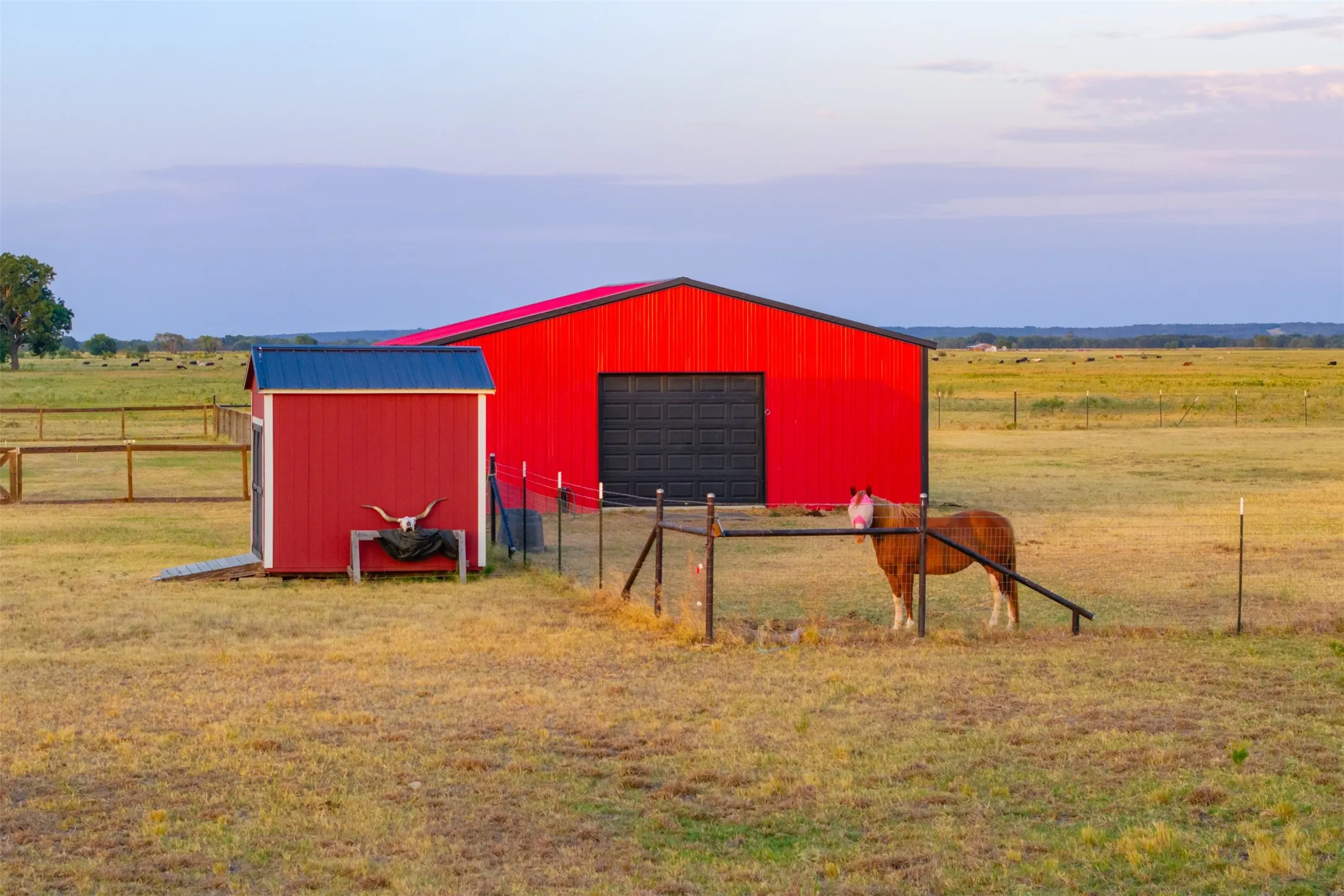 Ranch For Sale in Falls County , 502 County Road 182, Marlin, Texas 76661, 0, 0, Garage spaces, 0 Sqft, built in 0, mls#21413366, Real Estate Agent in Marlin, Homes For Sale in Falls county, Homes For Sale in Marlin, Realtor in Marlin Texas, Real Estate Brokerage Independent Realty Texas, Luminita Cordes Realtor