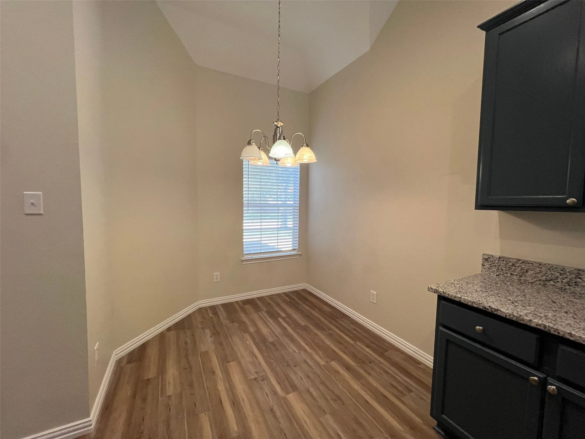 Vaulted ceilings, wood-finish flooring, dark-toned cabinetry, stone-finish countertops, and a multi-light pendant fixture
