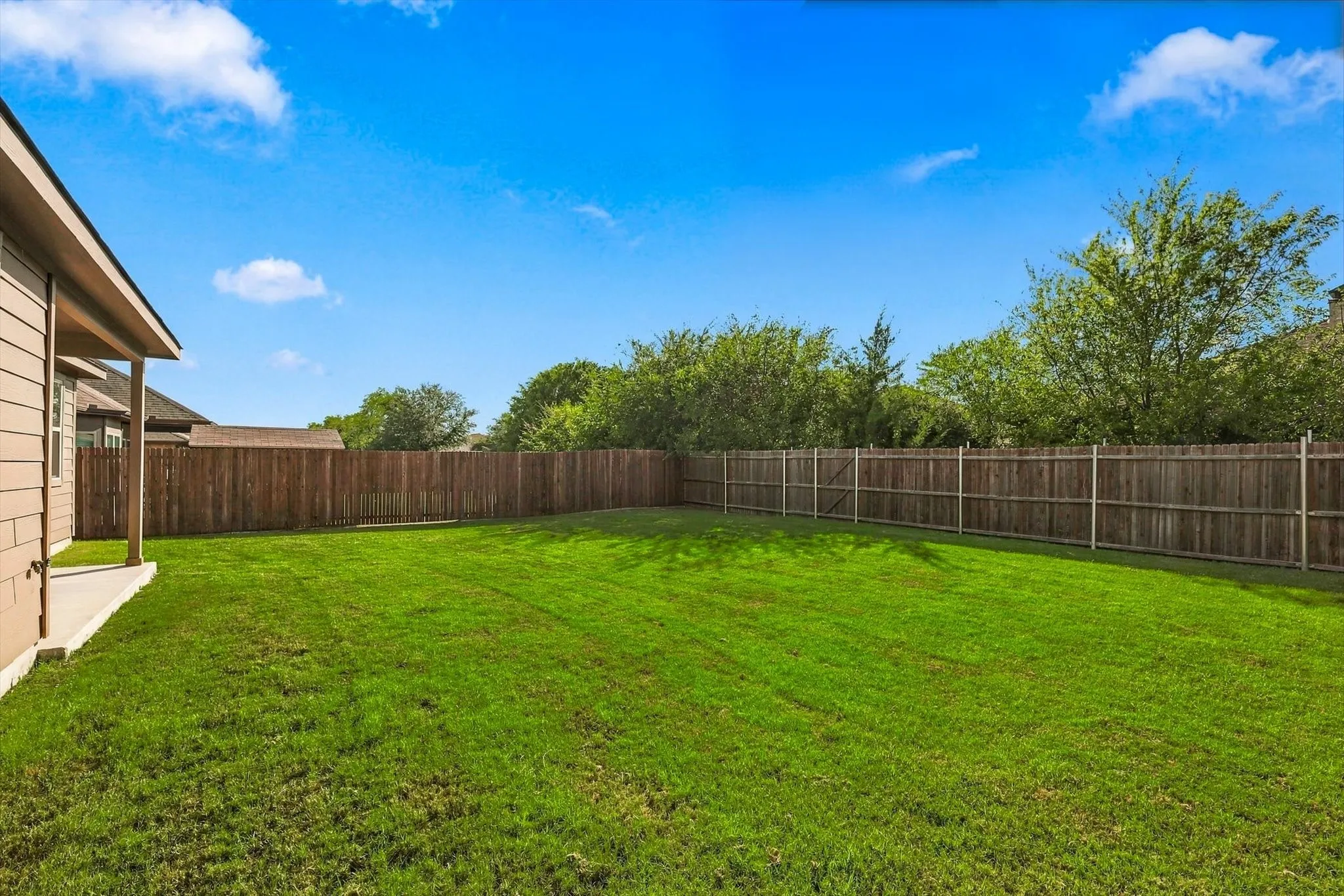 Additional backyard view.