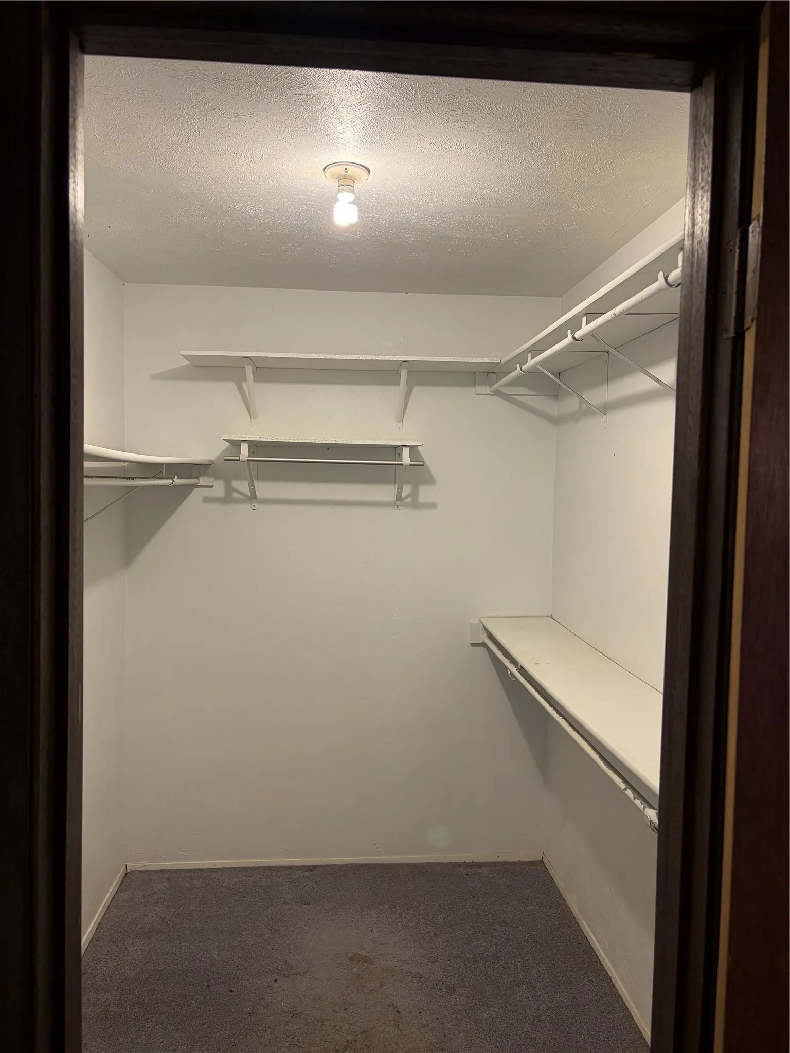 Walk-in closet featuring tiered shelving, integrated hanging rods, and neutral carpeting