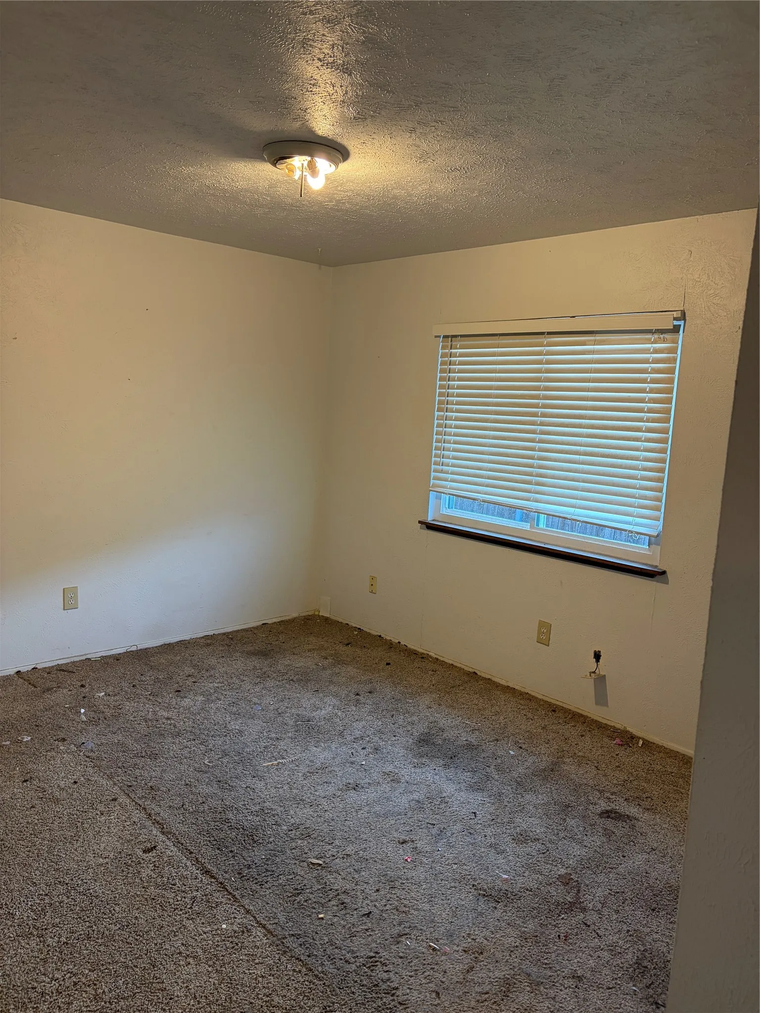 Interior room featuring carpet flooring, neutral wall paint, a single-pane window with horizontal blinds, and a centered flush-mount light fixture