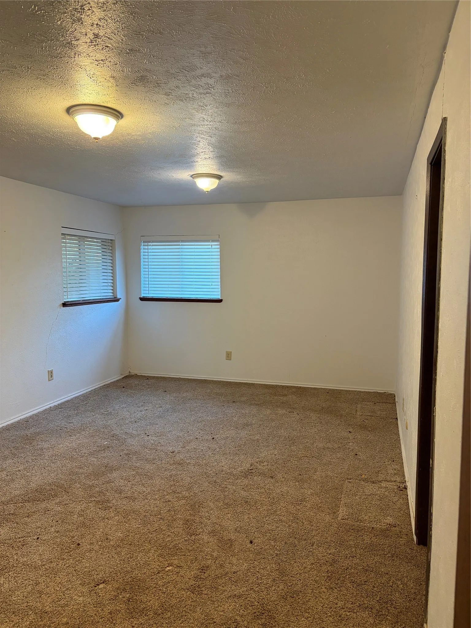 Neutral-toned interior space featuring carpeting, dual flush-mount ceiling fixtures, and two windows with horizontal blinds