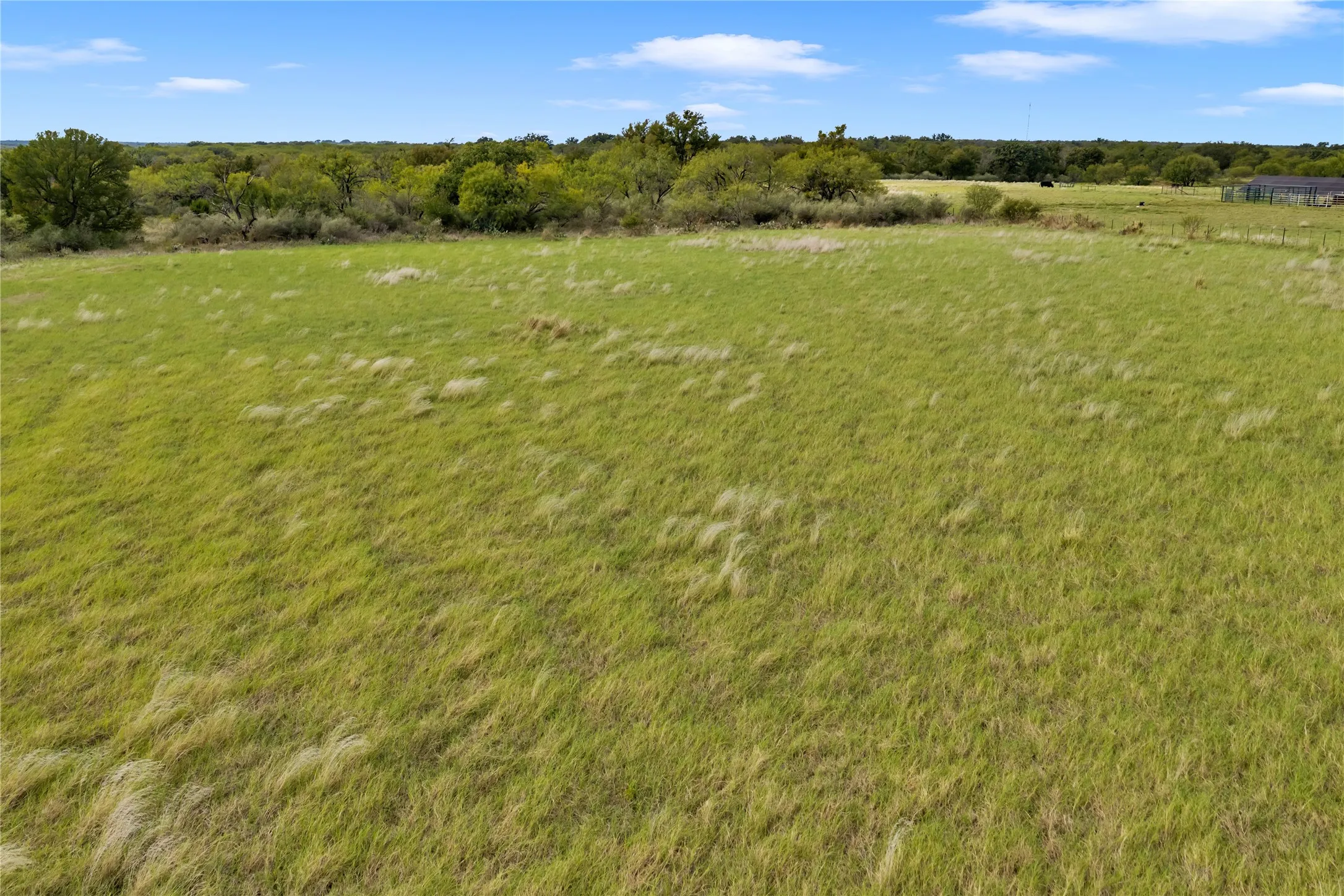 Ranch For Sale in Mills County , 11 S County Road 440, No City, Texas 76801, 0, 0, Garage spaces, 0 Sqft, built in 0, mls#21408887, Real Estate Agent in No City, Homes For Sale in Mills county, Homes For Sale in No City, Realtor in No City Texas, Real Estate Brokerage Independent Realty Texas, Luminita Cordes Realtor