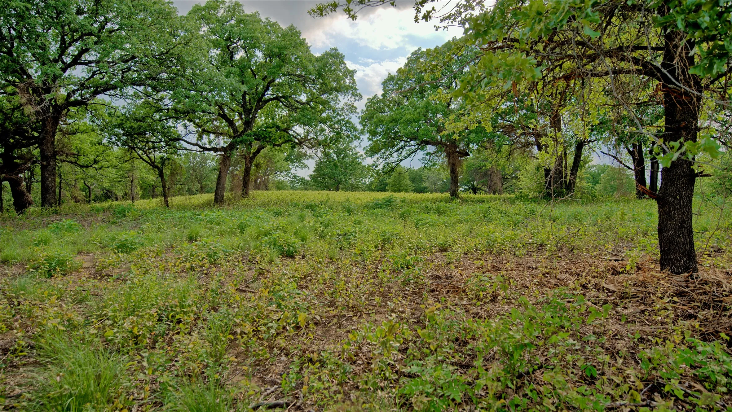 Unimproved Land For Sale in Montague County , TBD Tradewinds Road, Nocona, Texas 76255, 0, 0, Garage spaces, 0 Sqft, built in 0, mls#21413770, Real Estate Agent in Nocona, Homes For Sale in Montague county, Homes For Sale in Nocona, Realtor in Nocona Texas, Real Estate Brokerage Independent Realty Texas, Luminita Cordes Realtor