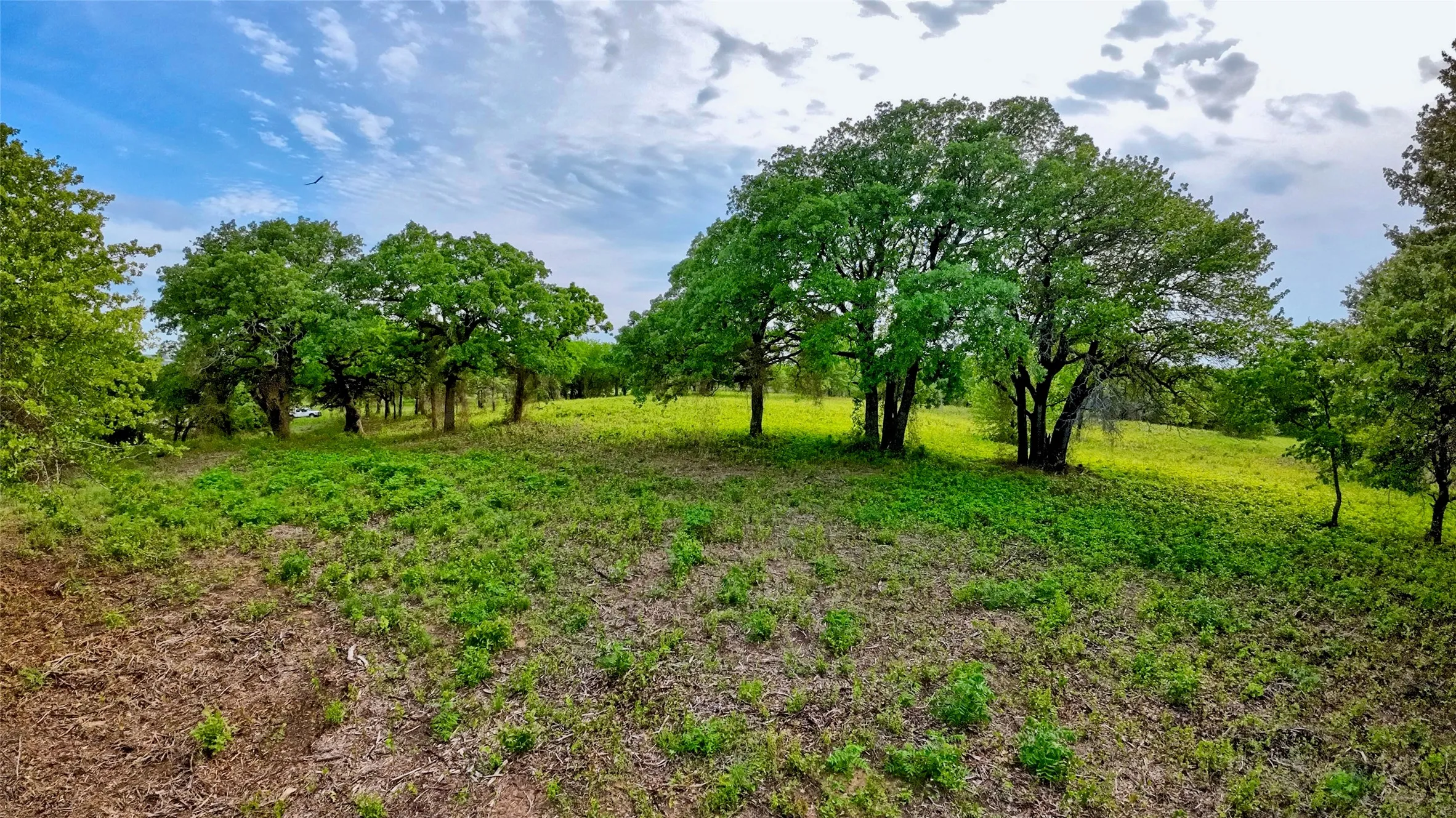 Unimproved Land For Sale in Montague County , TBD Tradewinds Road, Nocona, Texas 76255, 0, 0, Garage spaces, 0 Sqft, built in 0, mls#21413770, Real Estate Agent in Nocona, Homes For Sale in Montague county, Homes For Sale in Nocona, Realtor in Nocona Texas, Real Estate Brokerage Independent Realty Texas, Luminita Cordes Realtor