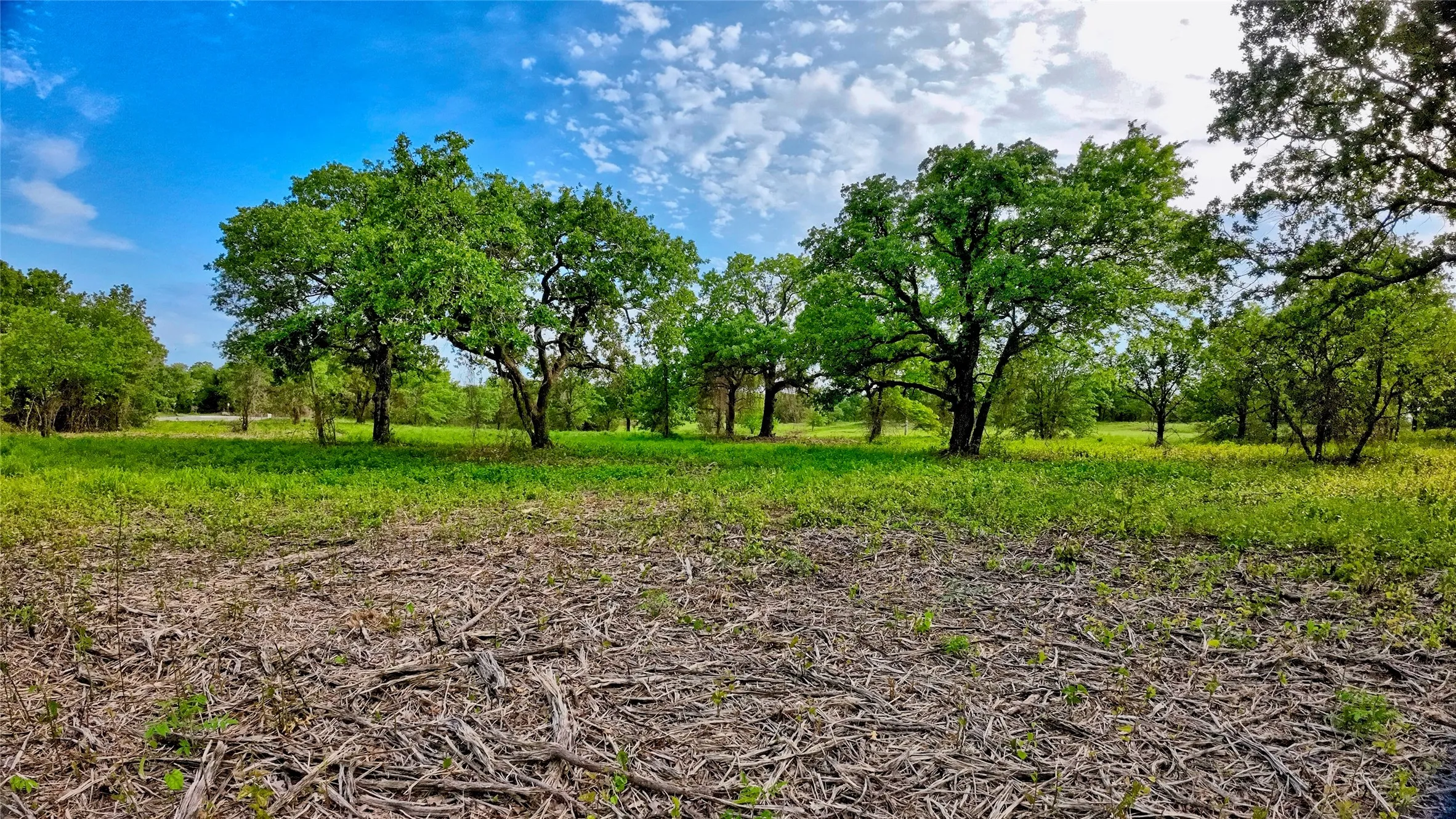 Unimproved Land For Sale in Montague County , TBD Tradewinds Road, Nocona, Texas 76255, 0, 0, Garage spaces, 0 Sqft, built in 0, mls#21413770, Real Estate Agent in Nocona, Homes For Sale in Montague county, Homes For Sale in Nocona, Realtor in Nocona Texas, Real Estate Brokerage Independent Realty Texas, Luminita Cordes Realtor