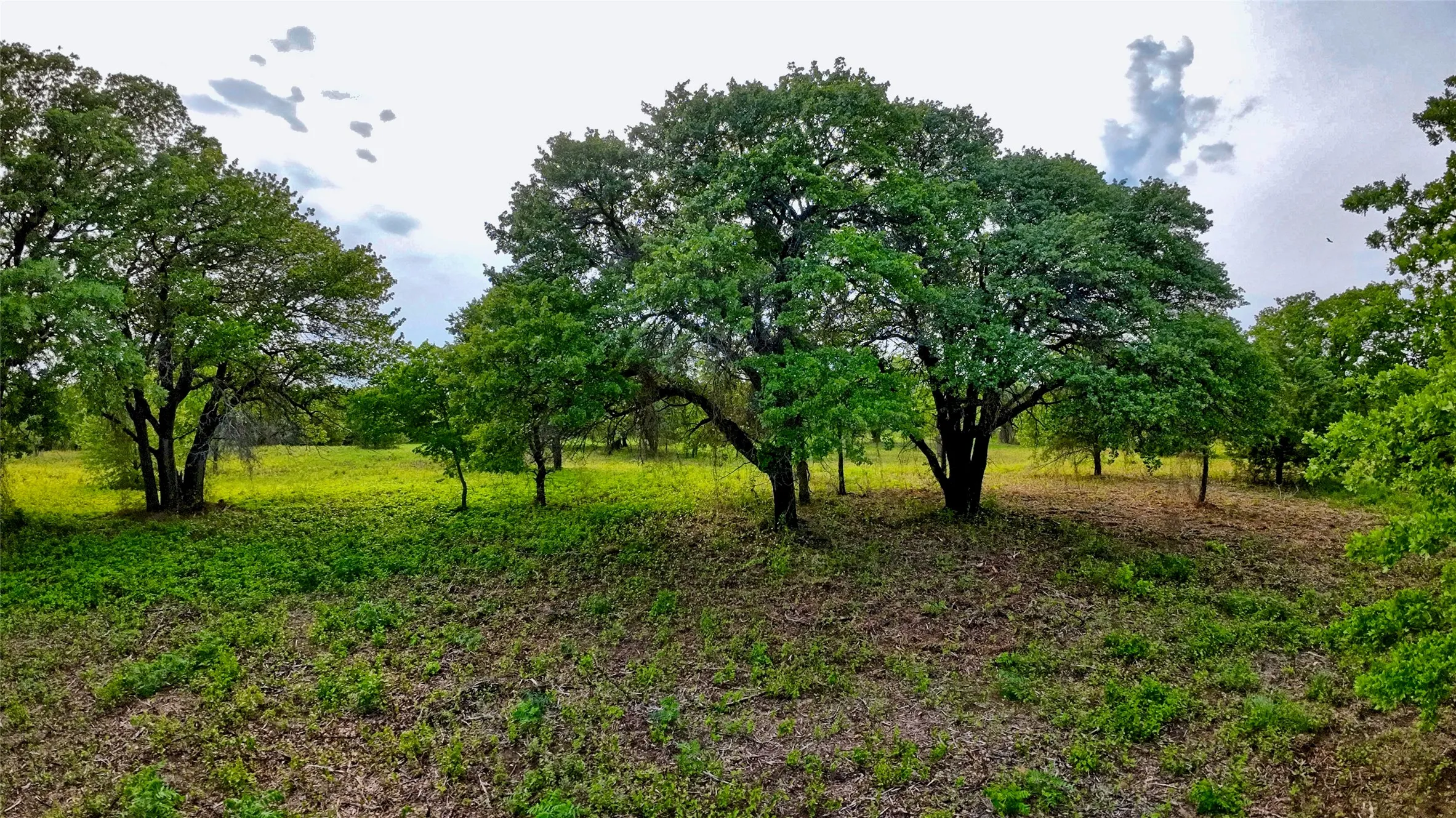 Unimproved Land For Sale in Montague County , TBD Tradewinds Road, Nocona, Texas 76255, 0, 0, Garage spaces, 0 Sqft, built in 0, mls#21413770, Real Estate Agent in Nocona, Homes For Sale in Montague county, Homes For Sale in Nocona, Realtor in Nocona Texas, Real Estate Brokerage Independent Realty Texas, Luminita Cordes Realtor