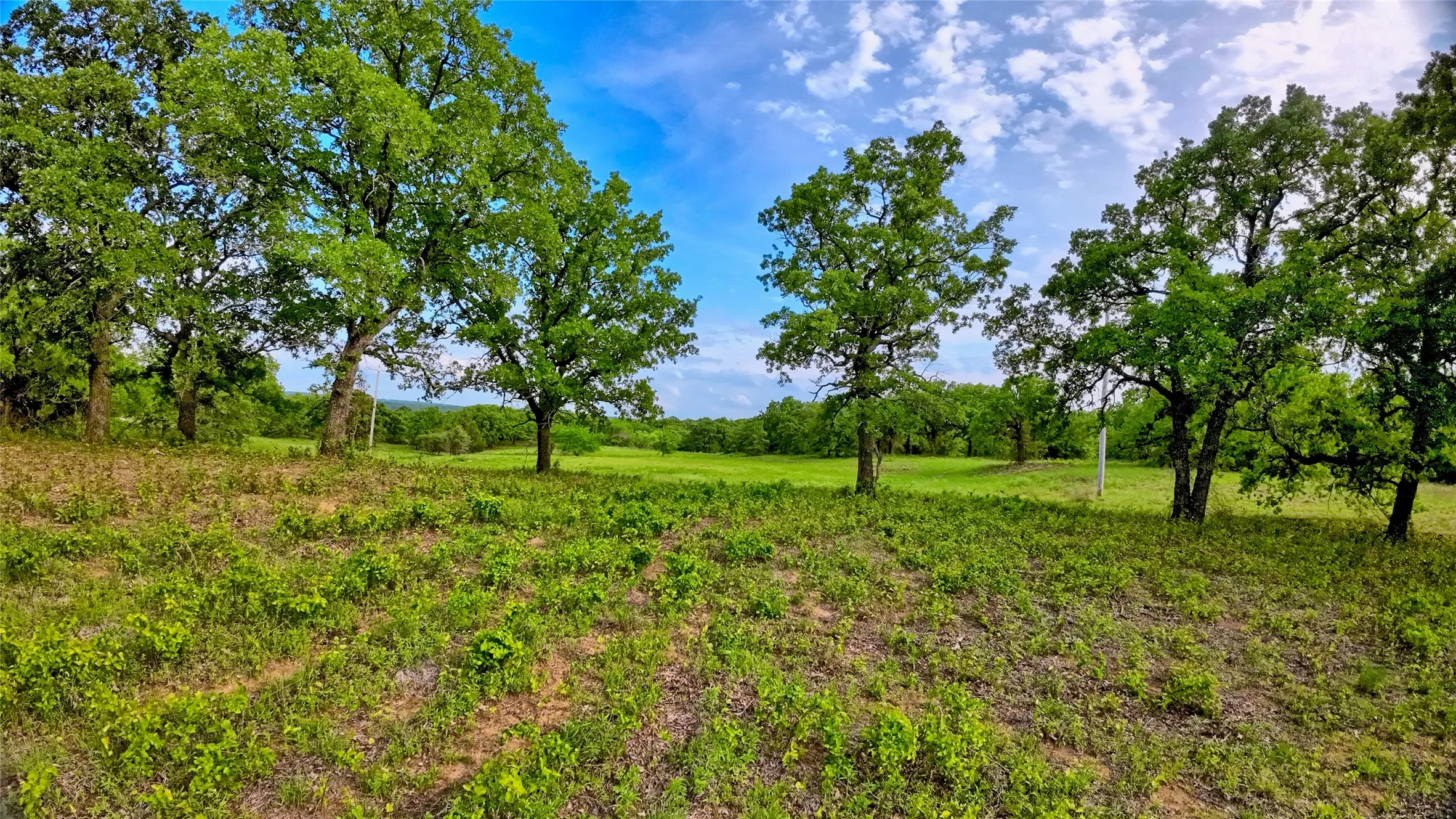 Unimproved Land For Sale in Montague County , TBD Tradewinds Road, Nocona, Texas 76255, 0, 0, Garage spaces, 0 Sqft, built in 0, mls#21413770, Real Estate Agent in Nocona, Homes For Sale in Montague county, Homes For Sale in Nocona, Realtor in Nocona Texas, Real Estate Brokerage Independent Realty Texas, Luminita Cordes Realtor