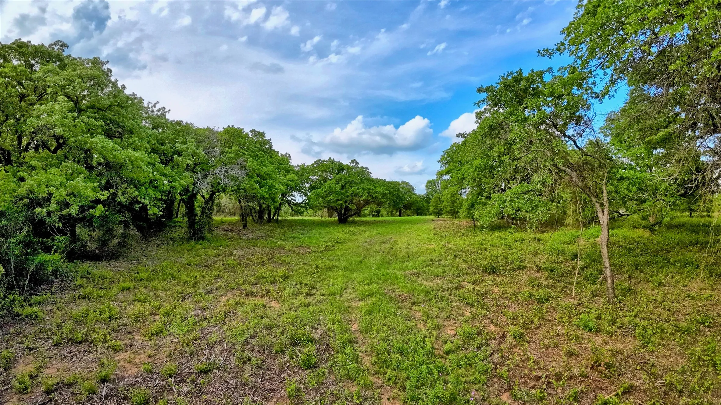 Unimproved Land For Sale in Montague County , TBD Tradewinds Road, Nocona, Texas 76255, 0, 0, Garage spaces, 0 Sqft, built in 0, mls#21413770, Real Estate Agent in Nocona, Homes For Sale in Montague county, Homes For Sale in Nocona, Realtor in Nocona Texas, Real Estate Brokerage Independent Realty Texas, Luminita Cordes Realtor