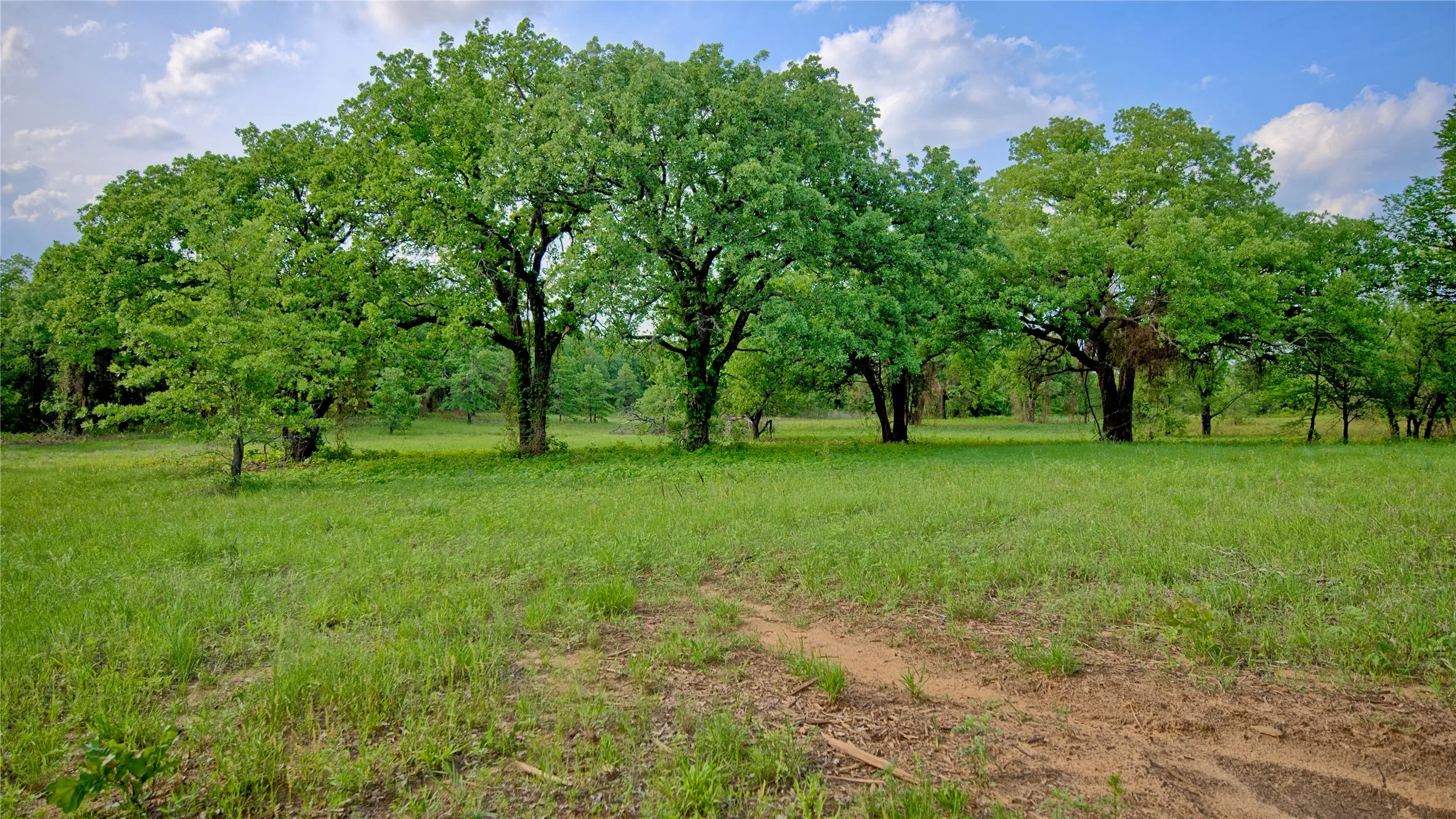 Unimproved Land For Sale in Montague County , TBD Tradewinds Road, Nocona, Texas 76255, 0, 0, Garage spaces, 0 Sqft, built in 0, mls#21413770, Real Estate Agent in Nocona, Homes For Sale in Montague county, Homes For Sale in Nocona, Realtor in Nocona Texas, Real Estate Brokerage Independent Realty Texas, Luminita Cordes Realtor