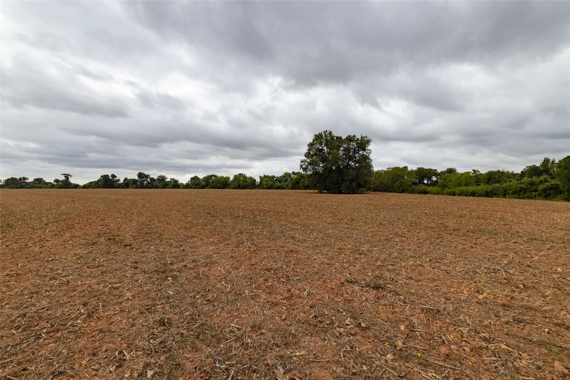 Unimproved Land For Sale in Falls County , 184 County Road 183, Marlin, Texas 76661, 0, 0, Garage spaces, 0 Sqft, built in 0, mls#21411856, Real Estate Agent in Marlin, Homes For Sale in Falls county, Homes For Sale in Marlin, Realtor in Marlin Texas, Real Estate Brokerage Independent Realty Texas, Luminita Cordes Realtor
