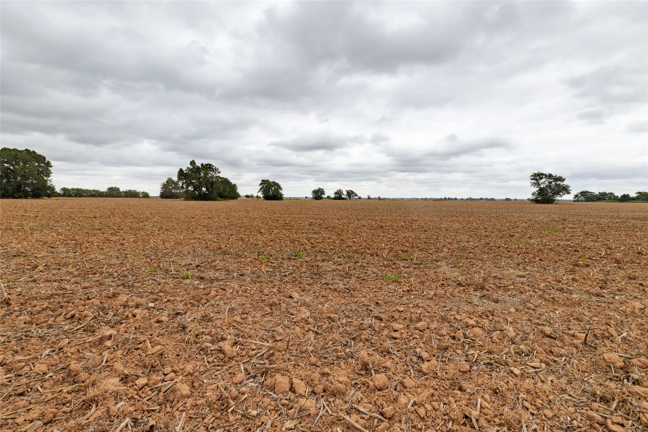 Unimproved Land For Sale in Falls County , 184 County Road 183, Marlin, Texas 76661, 0, 0, Garage spaces, 0 Sqft, built in 0, mls#21411856, Real Estate Agent in Marlin, Homes For Sale in Falls county, Homes For Sale in Marlin, Realtor in Marlin Texas, Real Estate Brokerage Independent Realty Texas, Luminita Cordes Realtor