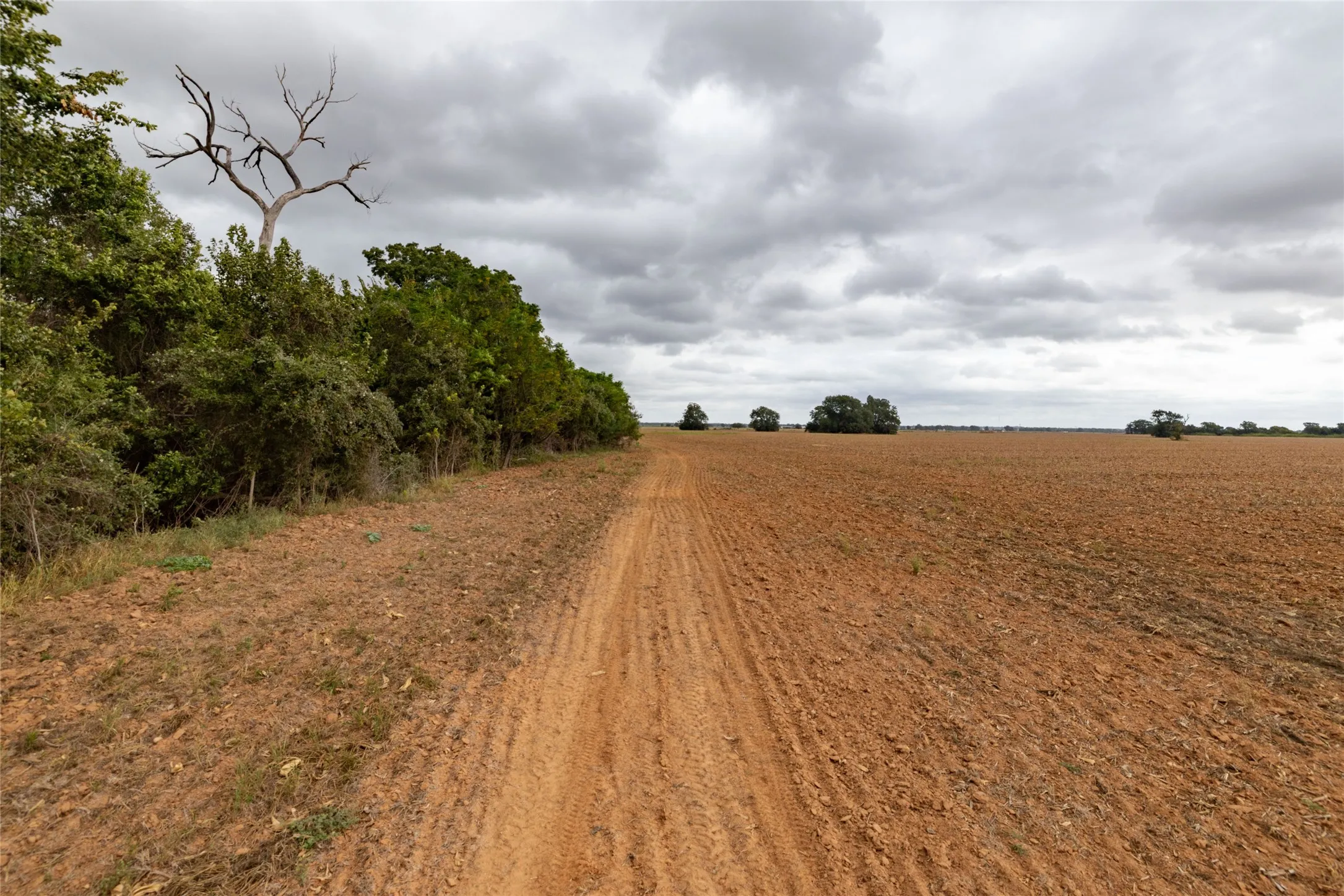 Unimproved Land For Sale in Falls County , 184 County Road 183, Marlin, Texas 76661, 0, 0, Garage spaces, 0 Sqft, built in 0, mls#21411856, Real Estate Agent in Marlin, Homes For Sale in Falls county, Homes For Sale in Marlin, Realtor in Marlin Texas, Real Estate Brokerage Independent Realty Texas, Luminita Cordes Realtor