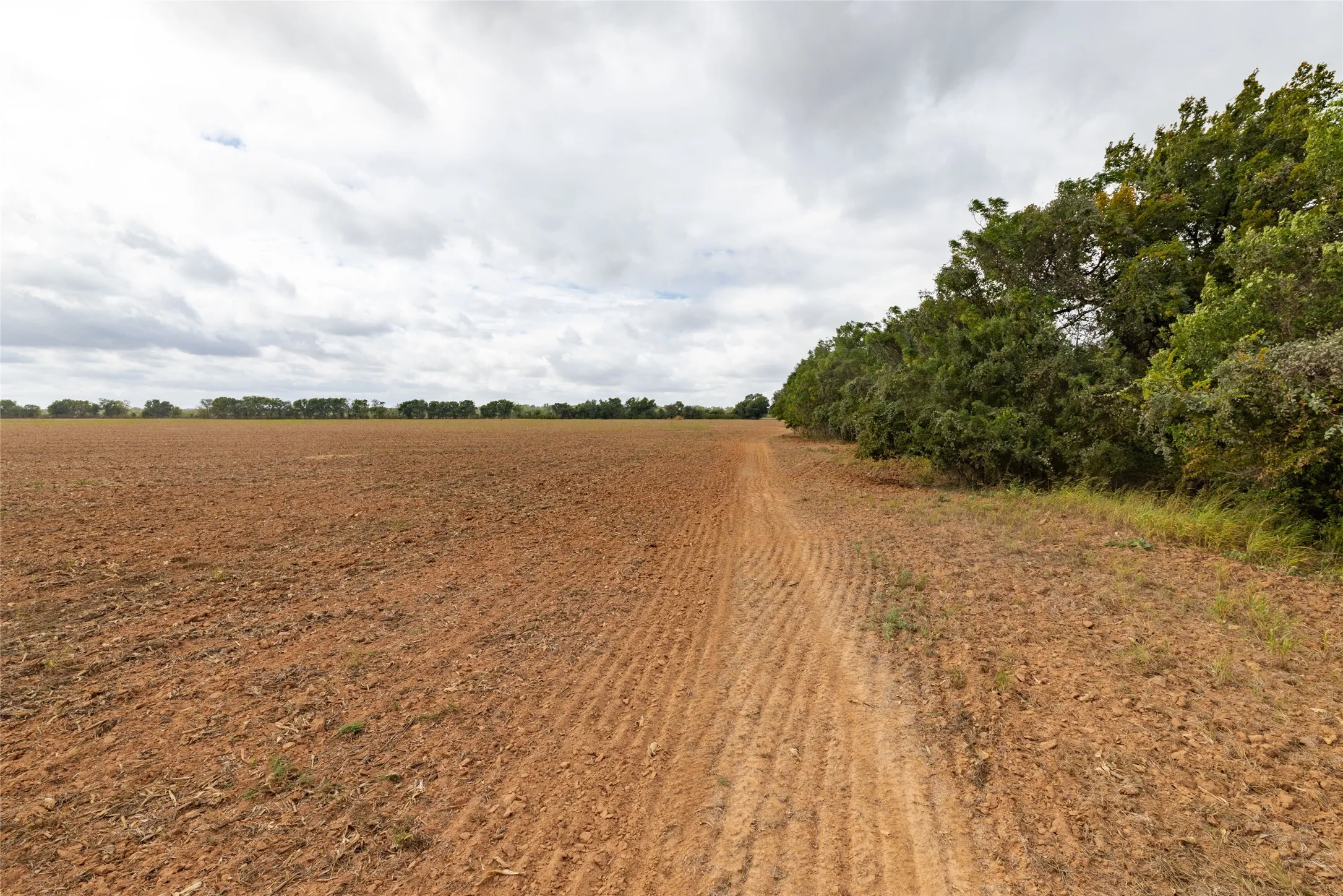 Unimproved Land For Sale in Falls County , 184 County Road 183, Marlin, Texas 76661, 0, 0, Garage spaces, 0 Sqft, built in 0, mls#21411856, Real Estate Agent in Marlin, Homes For Sale in Falls county, Homes For Sale in Marlin, Realtor in Marlin Texas, Real Estate Brokerage Independent Realty Texas, Luminita Cordes Realtor