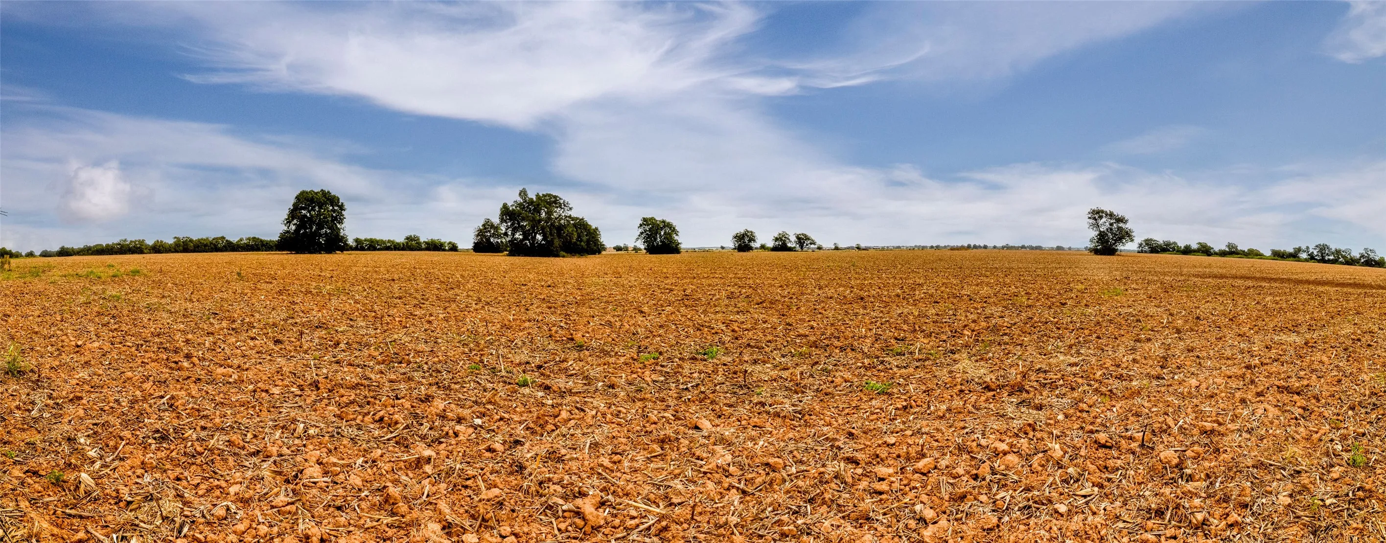 Unimproved Land For Sale in Falls County , 184 County Road 183, Marlin, Texas 76661, 0, 0, Garage spaces, 0 Sqft, built in 0, mls#21411856, Real Estate Agent in Marlin, Homes For Sale in Falls county, Homes For Sale in Marlin, Realtor in Marlin Texas, Real Estate Brokerage Independent Realty Texas, Luminita Cordes Realtor