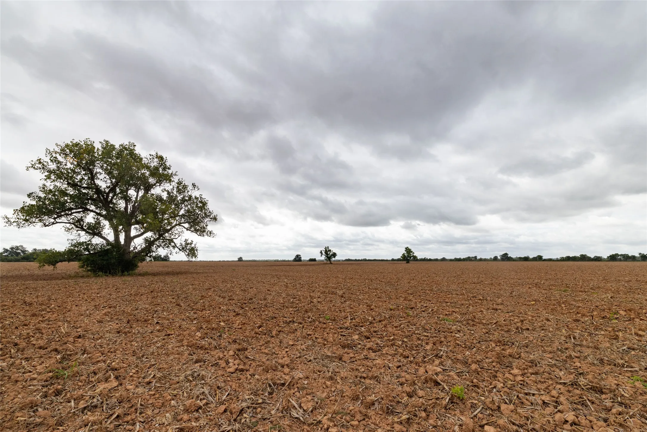 Unimproved Land For Sale in Falls County , 184 County Road 183, Marlin, Texas 76661, 0, 0, Garage spaces, 0 Sqft, built in 0, mls#21411856, Real Estate Agent in Marlin, Homes For Sale in Falls county, Homes For Sale in Marlin, Realtor in Marlin Texas, Real Estate Brokerage Independent Realty Texas, Luminita Cordes Realtor