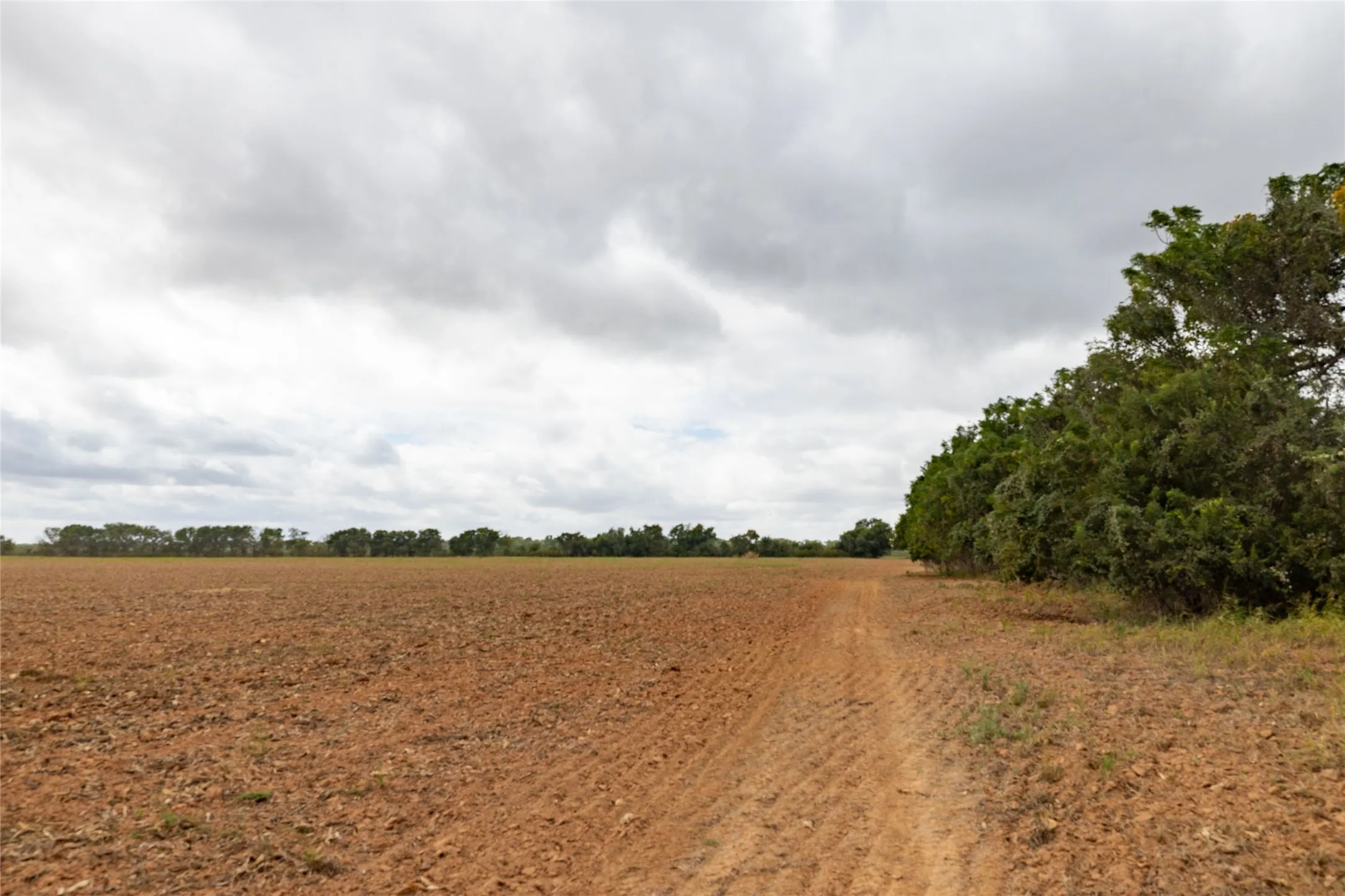 Unimproved Land For Sale in Falls County , 184 County Road 183, Marlin, Texas 76661, 0, 0, Garage spaces, 0 Sqft, built in 0, mls#21411856, Real Estate Agent in Marlin, Homes For Sale in Falls county, Homes For Sale in Marlin, Realtor in Marlin Texas, Real Estate Brokerage Independent Realty Texas, Luminita Cordes Realtor