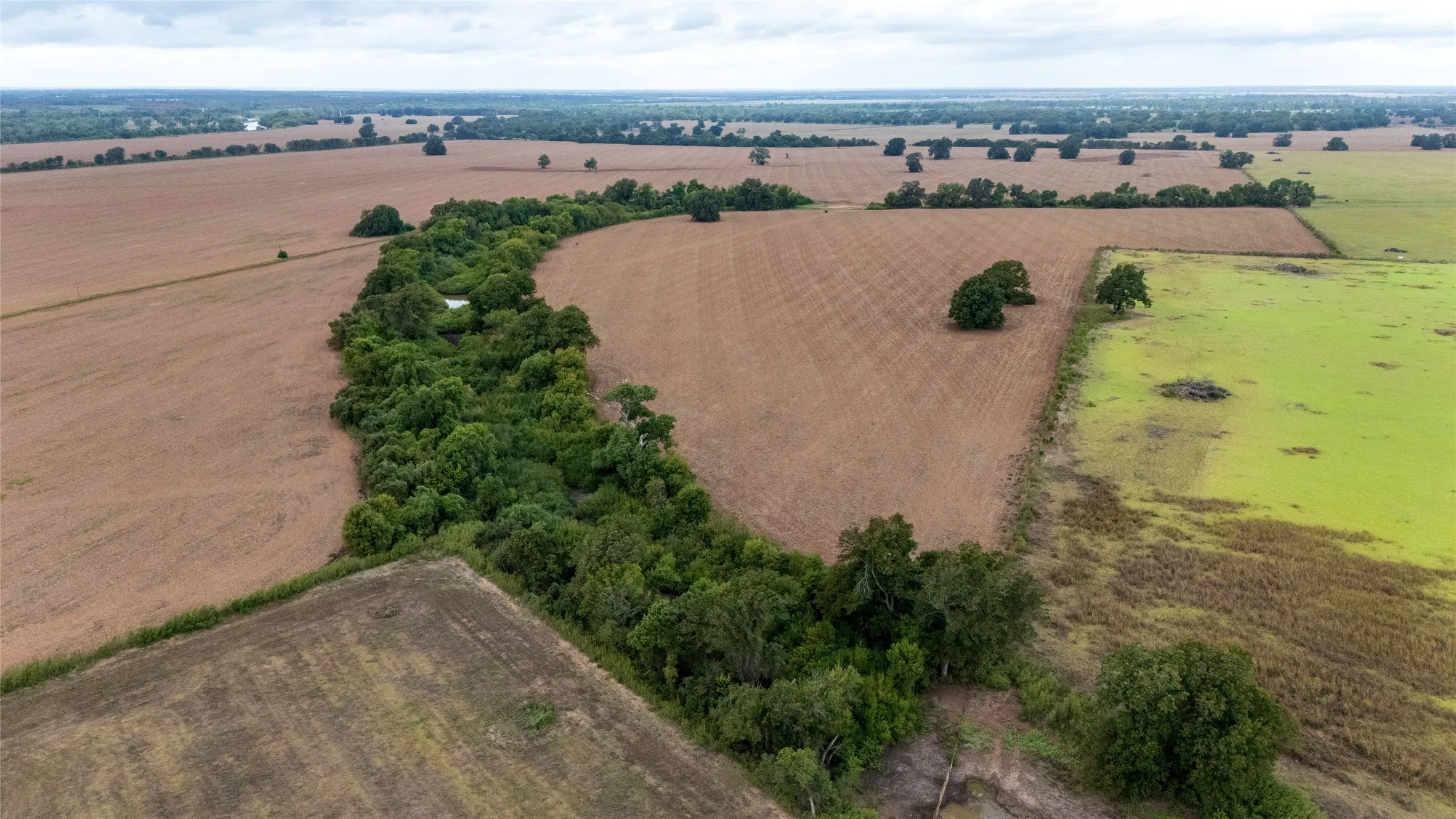 Unimproved Land For Sale in Falls County , 184 County Road 183, Marlin, Texas 76661, 0, 0, Garage spaces, 0 Sqft, built in 0, mls#21411856, Real Estate Agent in Marlin, Homes For Sale in Falls county, Homes For Sale in Marlin, Realtor in Marlin Texas, Real Estate Brokerage Independent Realty Texas, Luminita Cordes Realtor