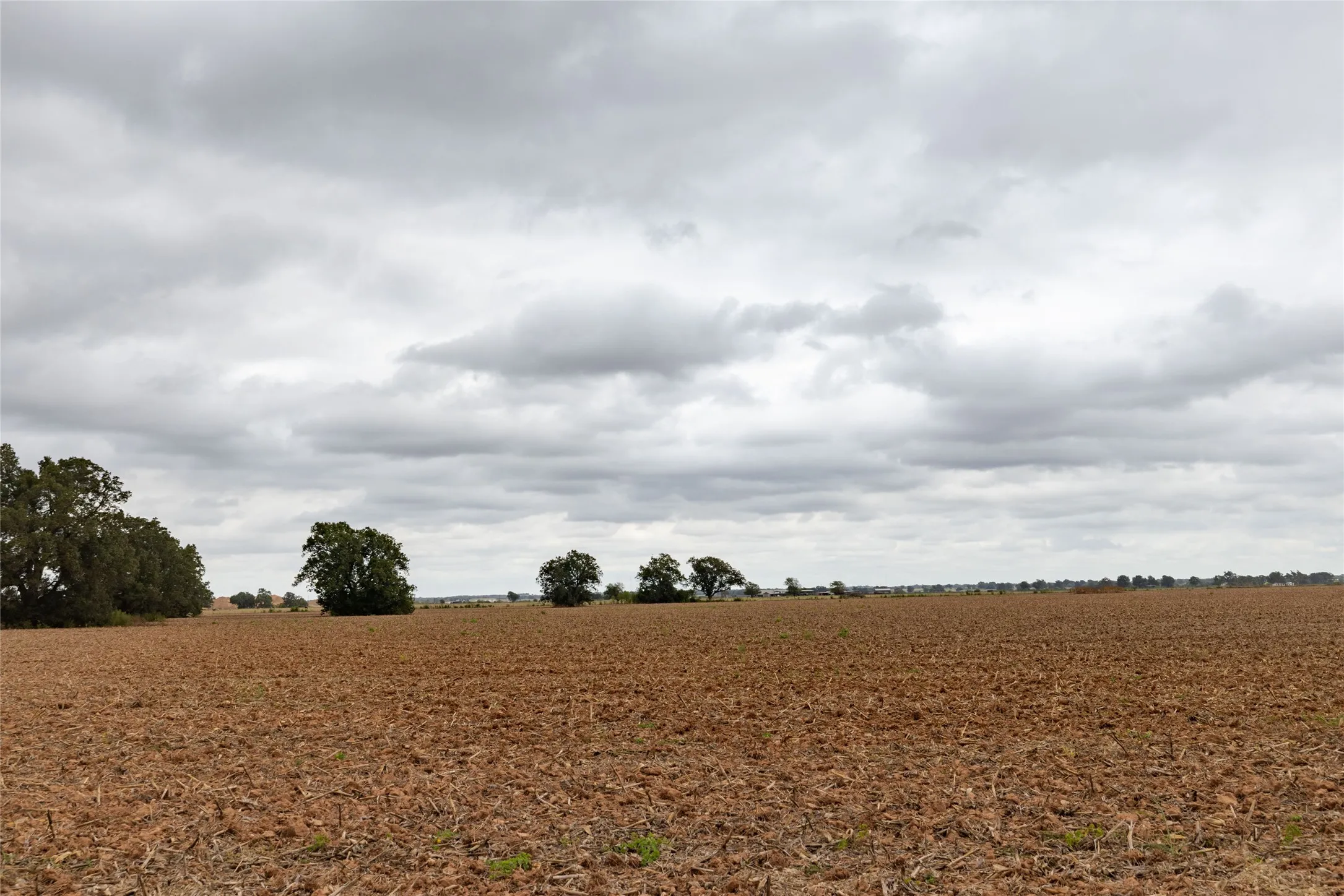 Unimproved Land For Sale in Falls County , 184 County Road 183, Marlin, Texas 76661, 0, 0, Garage spaces, 0 Sqft, built in 0, mls#21411856, Real Estate Agent in Marlin, Homes For Sale in Falls county, Homes For Sale in Marlin, Realtor in Marlin Texas, Real Estate Brokerage Independent Realty Texas, Luminita Cordes Realtor