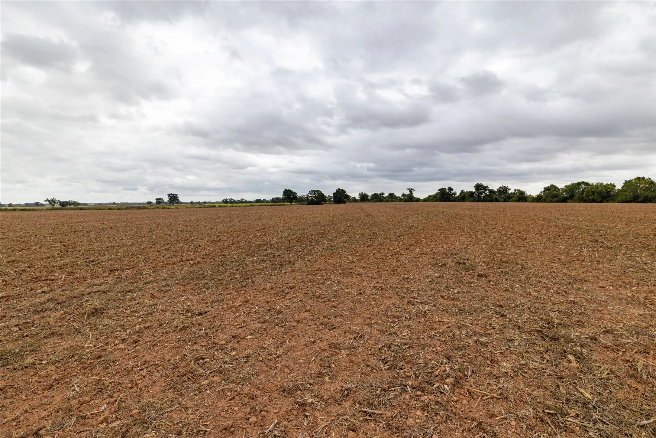 Unimproved Land For Sale in Falls County , 184 County Road 183, Marlin, Texas 76661, 0, 0, Garage spaces, 0 Sqft, built in 0, mls#21411856, Real Estate Agent in Marlin, Homes For Sale in Falls county, Homes For Sale in Marlin, Realtor in Marlin Texas, Real Estate Brokerage Independent Realty Texas, Luminita Cordes Realtor