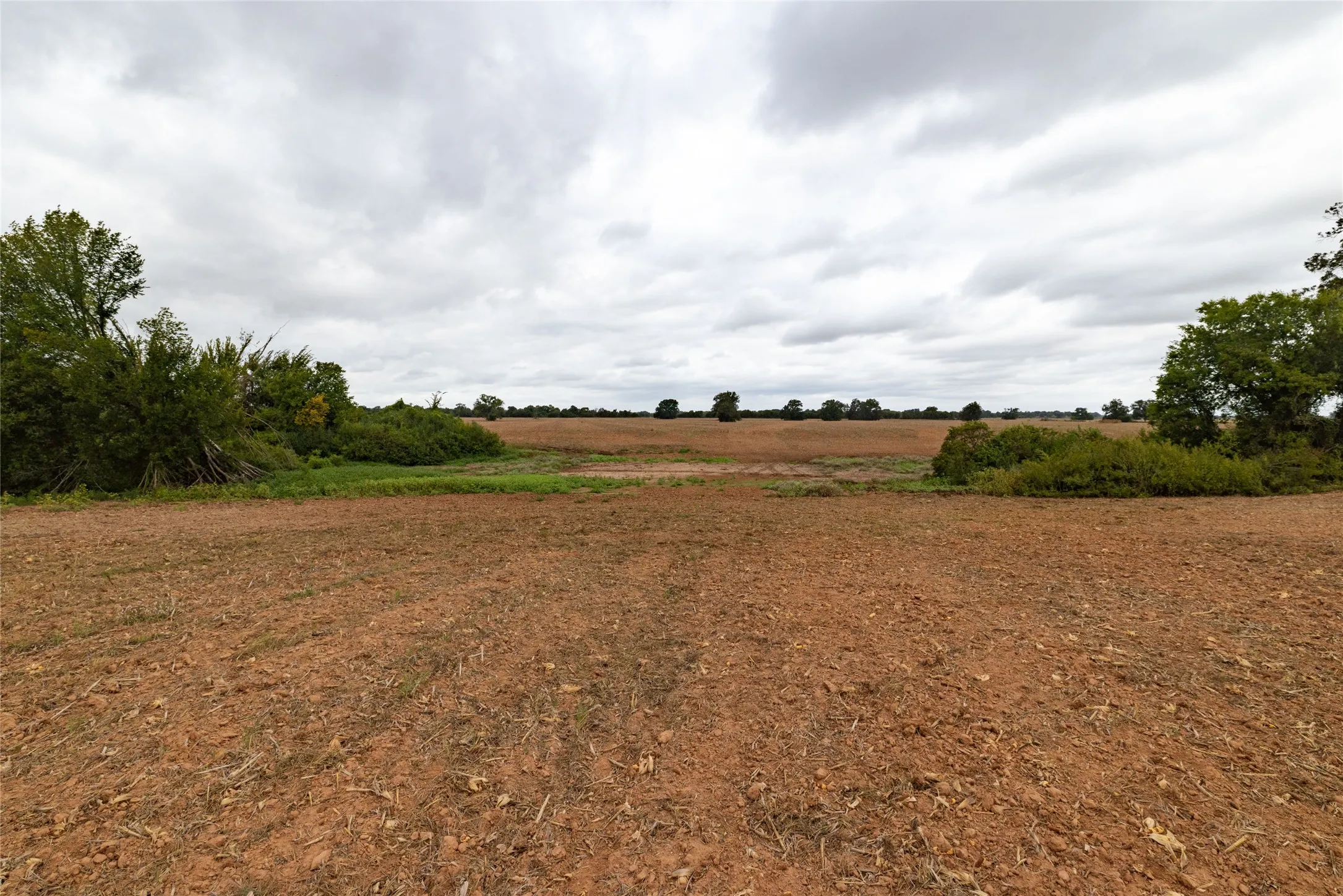 Unimproved Land For Sale in Falls County , 184 County Road 183, Marlin, Texas 76661, 0, 0, Garage spaces, 0 Sqft, built in 0, mls#21411856, Real Estate Agent in Marlin, Homes For Sale in Falls county, Homes For Sale in Marlin, Realtor in Marlin Texas, Real Estate Brokerage Independent Realty Texas, Luminita Cordes Realtor