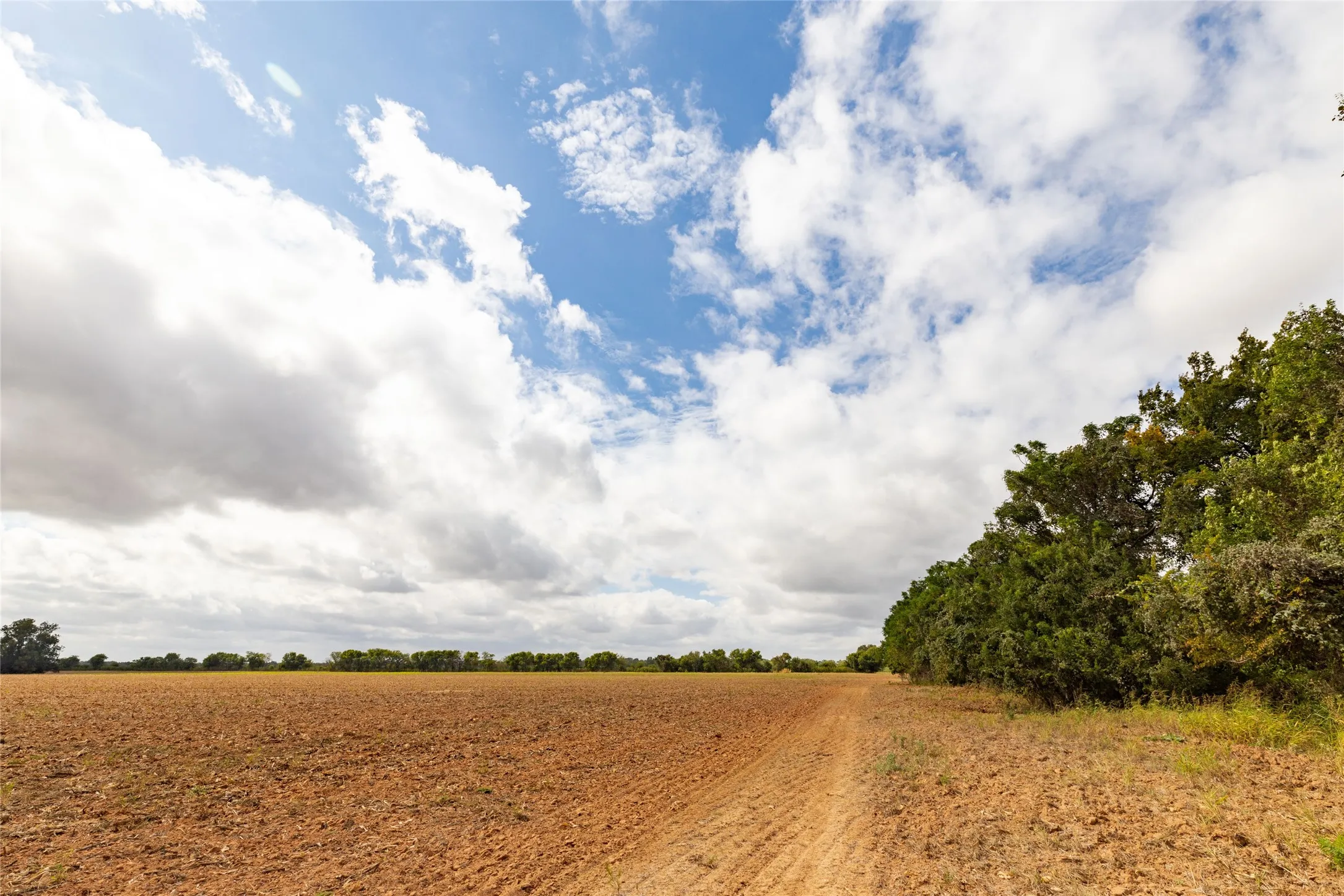 Unimproved Land For Sale in Falls County , 184 County Road 183, Marlin, Texas 76661, 0, 0, Garage spaces, 0 Sqft, built in 0, mls#21411856, Real Estate Agent in Marlin, Homes For Sale in Falls county, Homes For Sale in Marlin, Realtor in Marlin Texas, Real Estate Brokerage Independent Realty Texas, Luminita Cordes Realtor