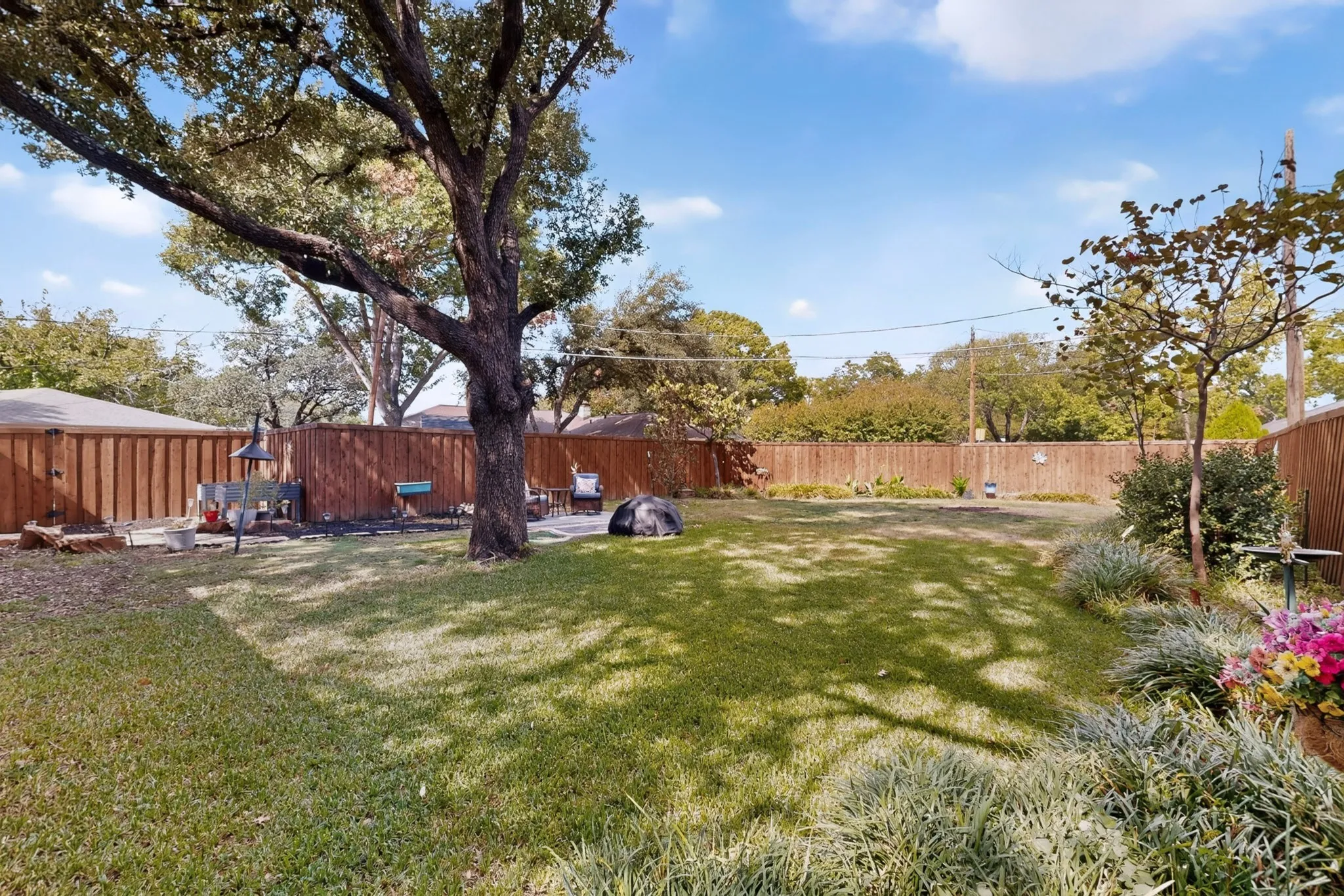 Wonderful large backyard with plenty of shade