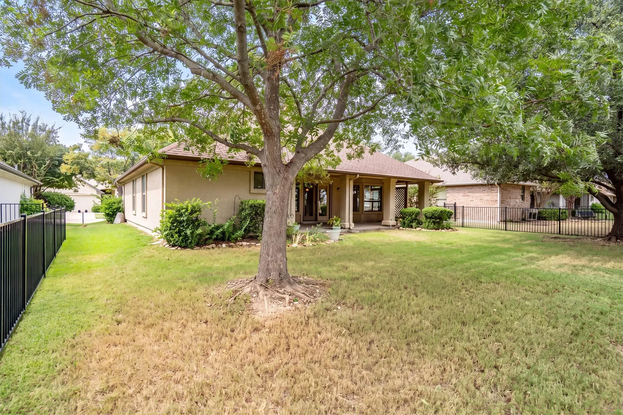 View of the backyard and mature trees from the property line