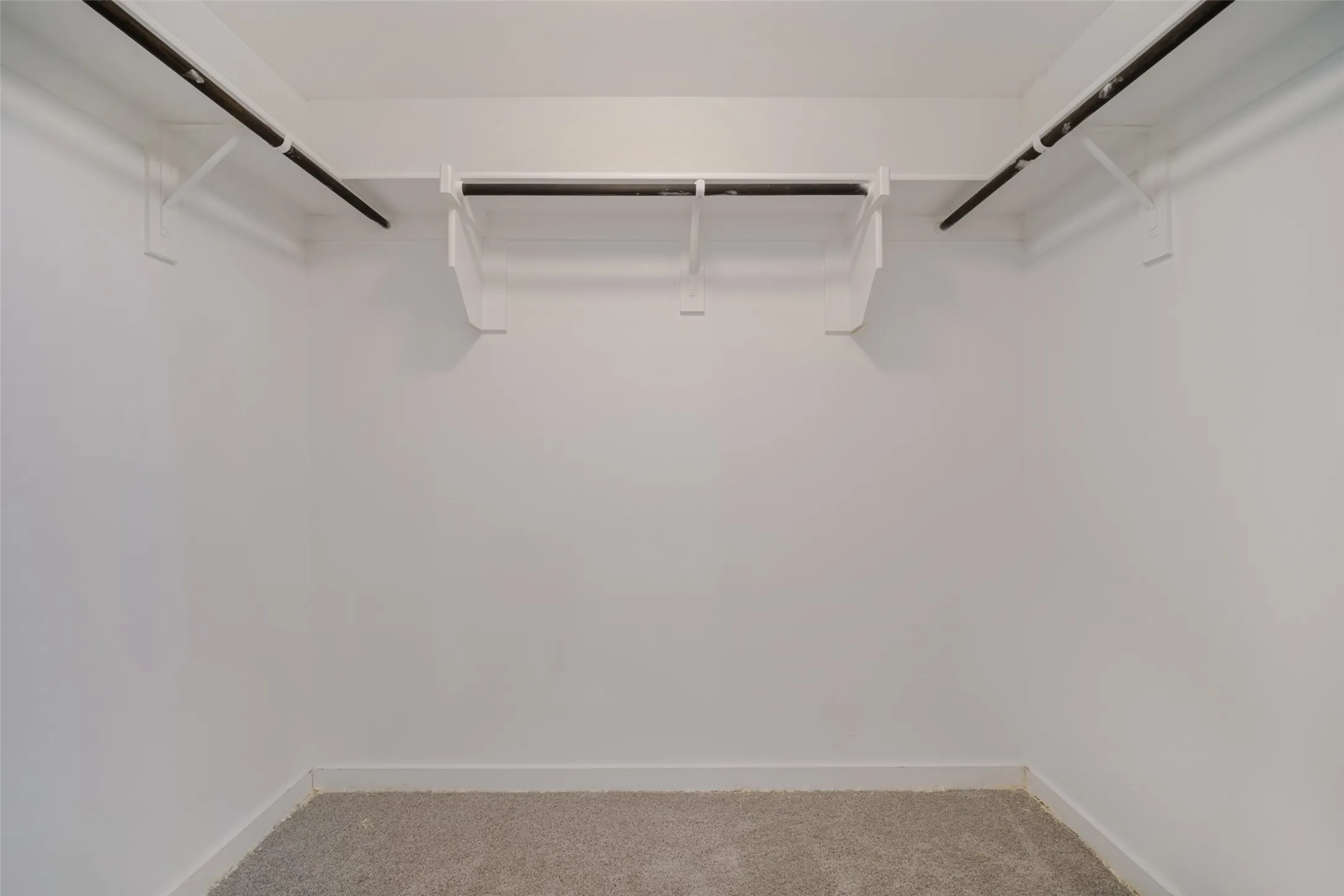 Walk-in closet featuring white walls, carpeting, and multi-tiered shelving with hanging rods