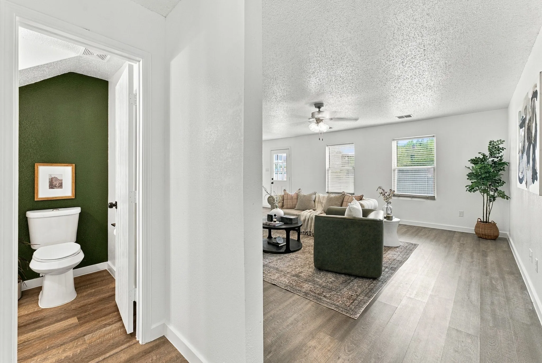 Powder room featuring wood-finish flooring and an accent wall, paired with a main area showcasing wood-finish flooring, a ceiling fan with integrated lighting, and multiple windows