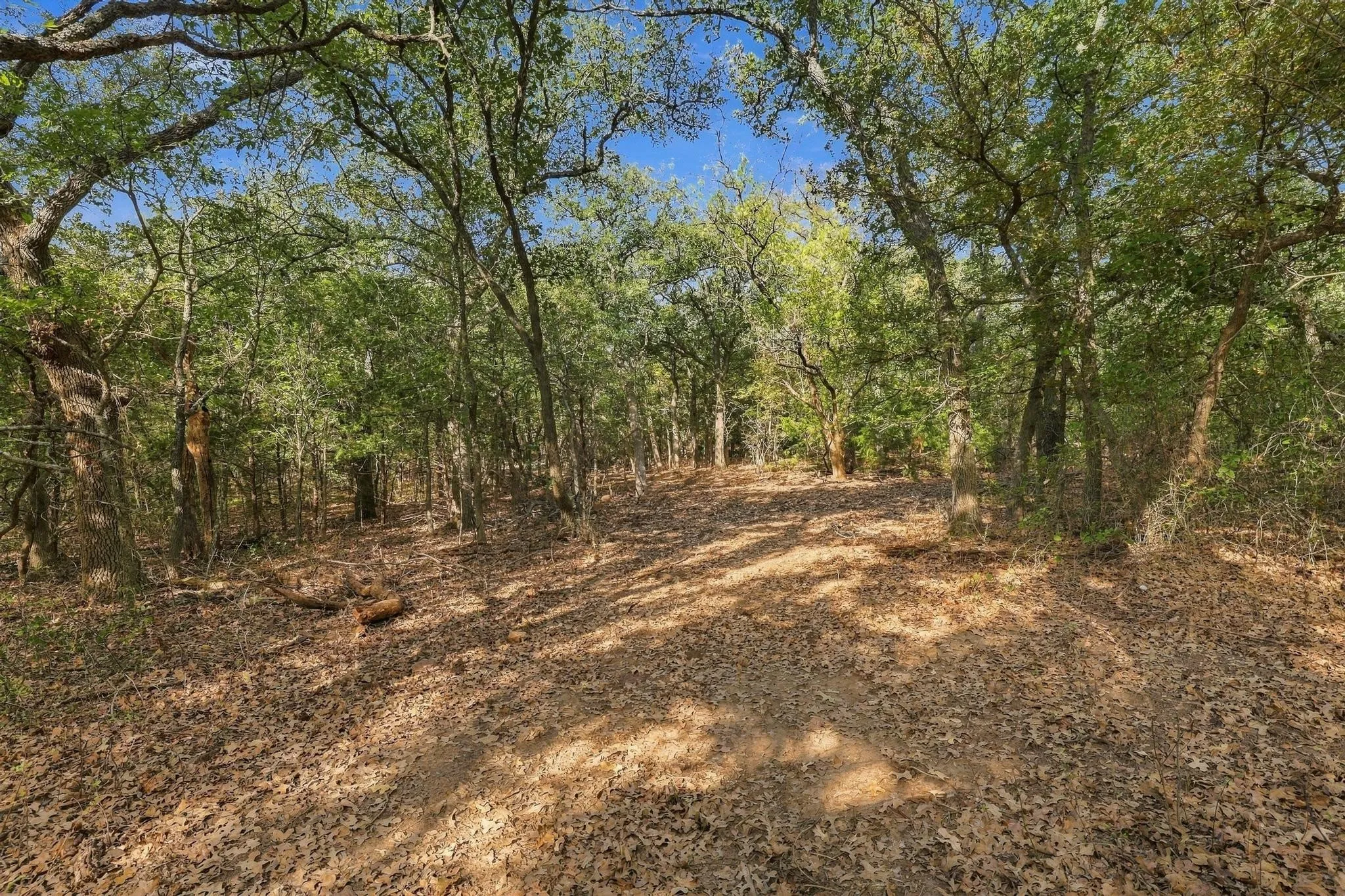 Unimproved Land For Sale in Cooke County , Tract 2 Prairie Grove Road, Valley View, Texas 76272, 0, 0, Garage spaces, 0 Sqft, built in 0, mls#21406296, Real Estate Agent in Valley View, Homes For Sale in Cooke county, Homes For Sale in Valley View, Realtor in Valley View Texas, Real Estate Brokerage Independent Realty Texas, Luminita Cordes Realtor