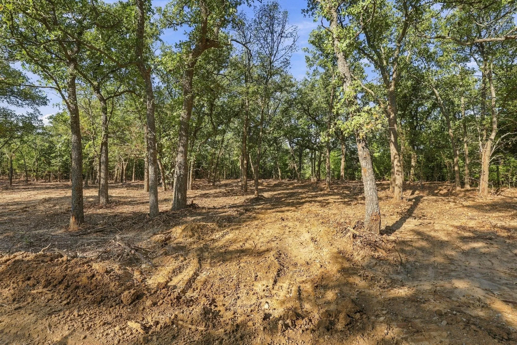 Unimproved Land For Sale in Cooke County , Tract 2 Prairie Grove Road, Valley View, Texas 76272, 0, 0, Garage spaces, 0 Sqft, built in 0, mls#21406296, Real Estate Agent in Valley View, Homes For Sale in Cooke county, Homes For Sale in Valley View, Realtor in Valley View Texas, Real Estate Brokerage Independent Realty Texas, Luminita Cordes Realtor