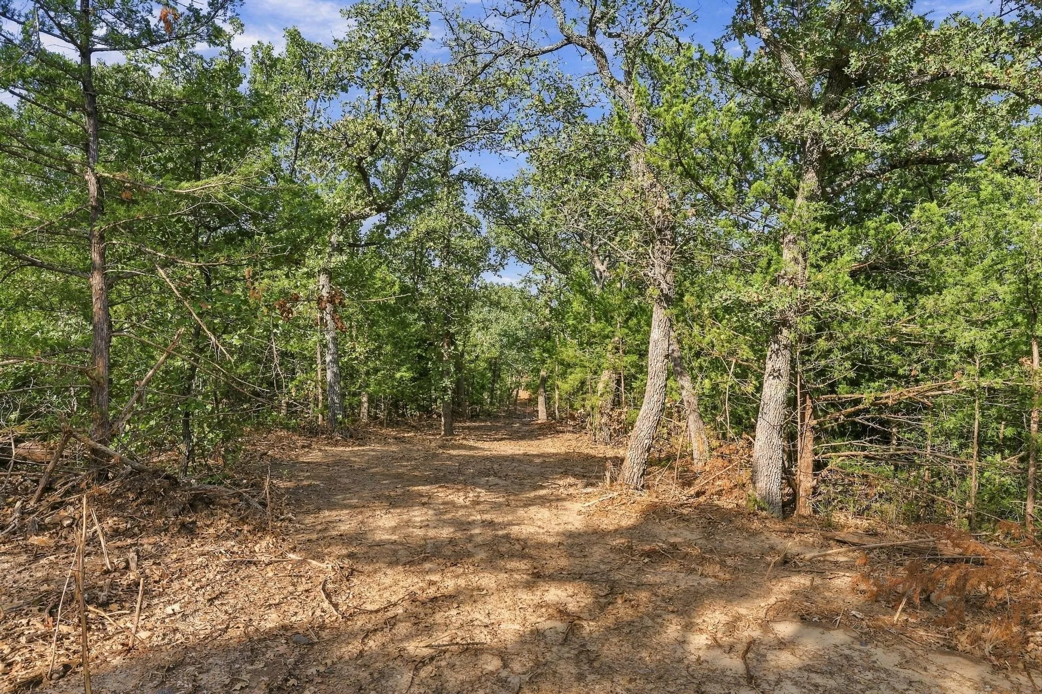 Unimproved Land For Sale in Cooke County , Tract 2 Prairie Grove Road, Valley View, Texas 76272, 0, 0, Garage spaces, 0 Sqft, built in 0, mls#21406296, Real Estate Agent in Valley View, Homes For Sale in Cooke county, Homes For Sale in Valley View, Realtor in Valley View Texas, Real Estate Brokerage Independent Realty Texas, Luminita Cordes Realtor