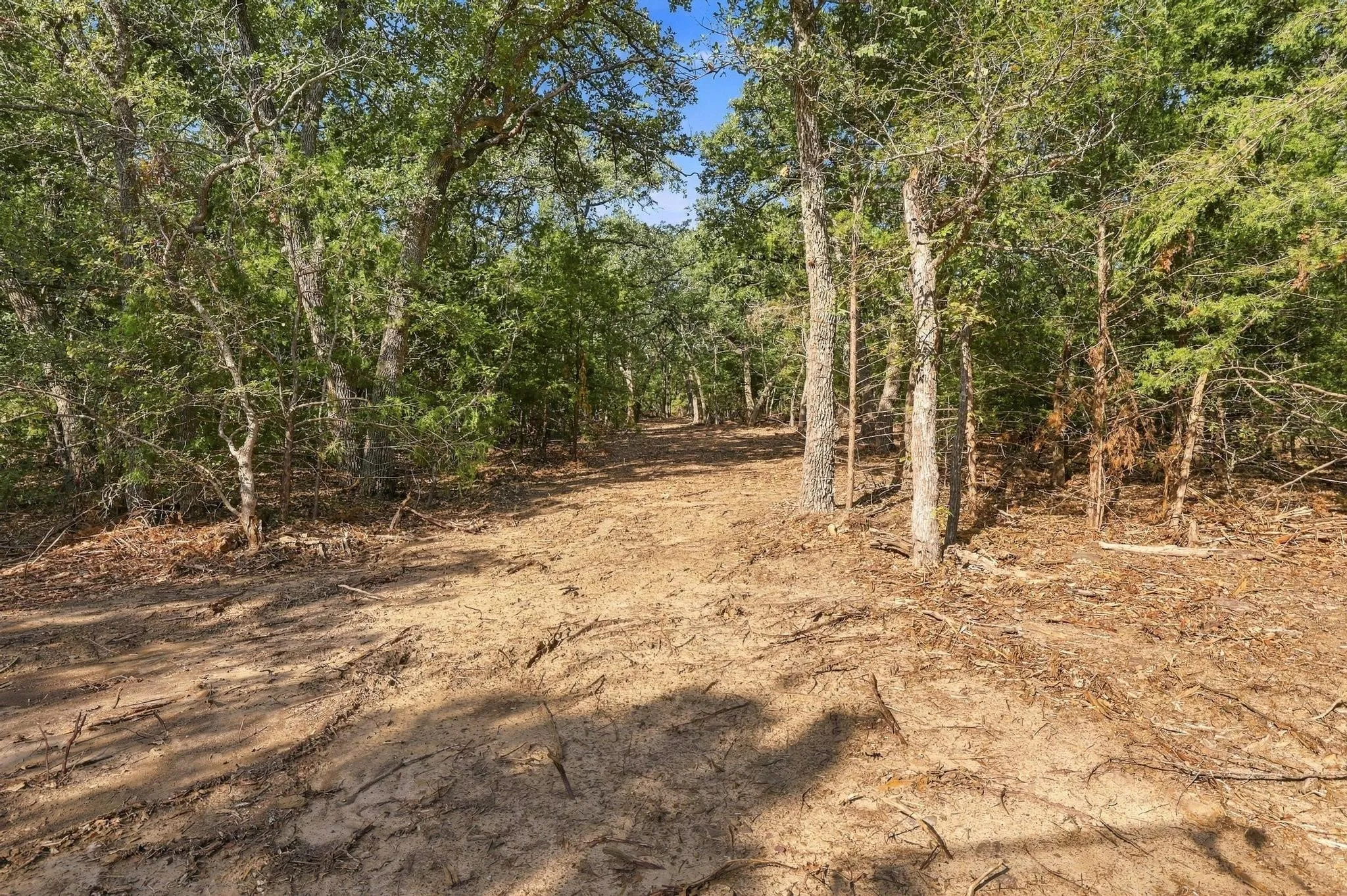 Unimproved Land For Sale in Cooke County , Tract 2 Prairie Grove Road, Valley View, Texas 76272, 0, 0, Garage spaces, 0 Sqft, built in 0, mls#21406296, Real Estate Agent in Valley View, Homes For Sale in Cooke county, Homes For Sale in Valley View, Realtor in Valley View Texas, Real Estate Brokerage Independent Realty Texas, Luminita Cordes Realtor