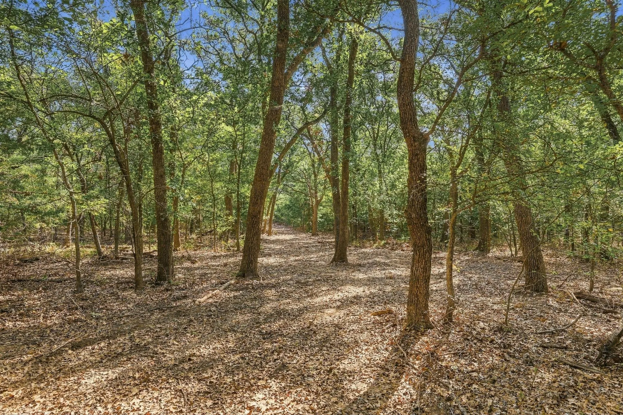 Unimproved Land For Sale in Cooke County , Tract 2 Prairie Grove Road, Valley View, Texas 76272, 0, 0, Garage spaces, 0 Sqft, built in 0, mls#21406296, Real Estate Agent in Valley View, Homes For Sale in Cooke county, Homes For Sale in Valley View, Realtor in Valley View Texas, Real Estate Brokerage Independent Realty Texas, Luminita Cordes Realtor