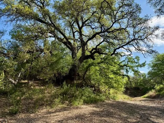 Ranch For Sale in Mc Culloch County , 950 CR 442, Mercury, Texas 76872, 0, 0, Garage spaces, 0 Sqft, built in 0, mls#21414250, Real Estate Agent in Mercury, Homes For Sale in Mc Culloch county, Homes For Sale in Mercury, Realtor in Mercury Texas, Real Estate Brokerage Independent Realty Texas, Luminita Cordes Realtor