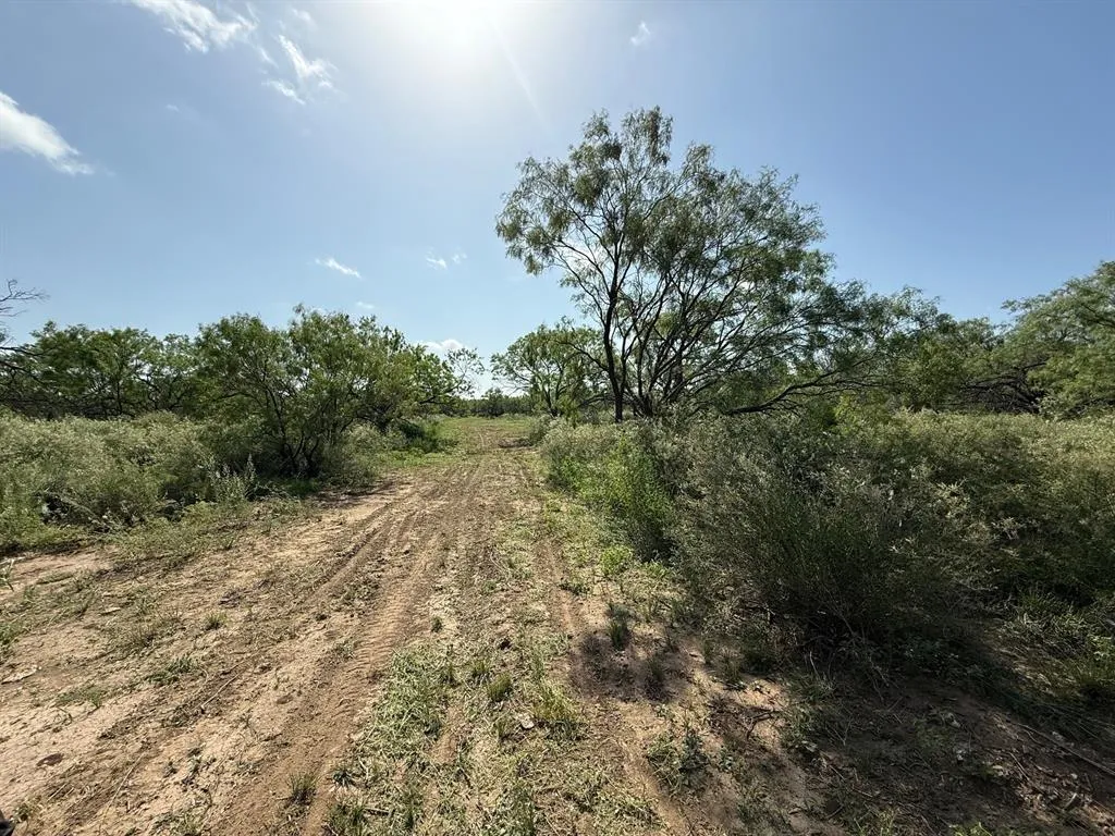 Ranch For Sale in Mc Culloch County , 950 CR 442, Mercury, Texas 76872, 0, 0, Garage spaces, 0 Sqft, built in 0, mls#21414250, Real Estate Agent in Mercury, Homes For Sale in Mc Culloch county, Homes For Sale in Mercury, Realtor in Mercury Texas, Real Estate Brokerage Independent Realty Texas, Luminita Cordes Realtor