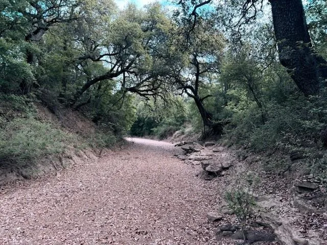 Ranch For Sale in Mc Culloch County , 950 CR 442, Mercury, Texas 76872, 0, 0, Garage spaces, 0 Sqft, built in 0, mls#21414250, Real Estate Agent in Mercury, Homes For Sale in Mc Culloch county, Homes For Sale in Mercury, Realtor in Mercury Texas, Real Estate Brokerage Independent Realty Texas, Luminita Cordes Realtor