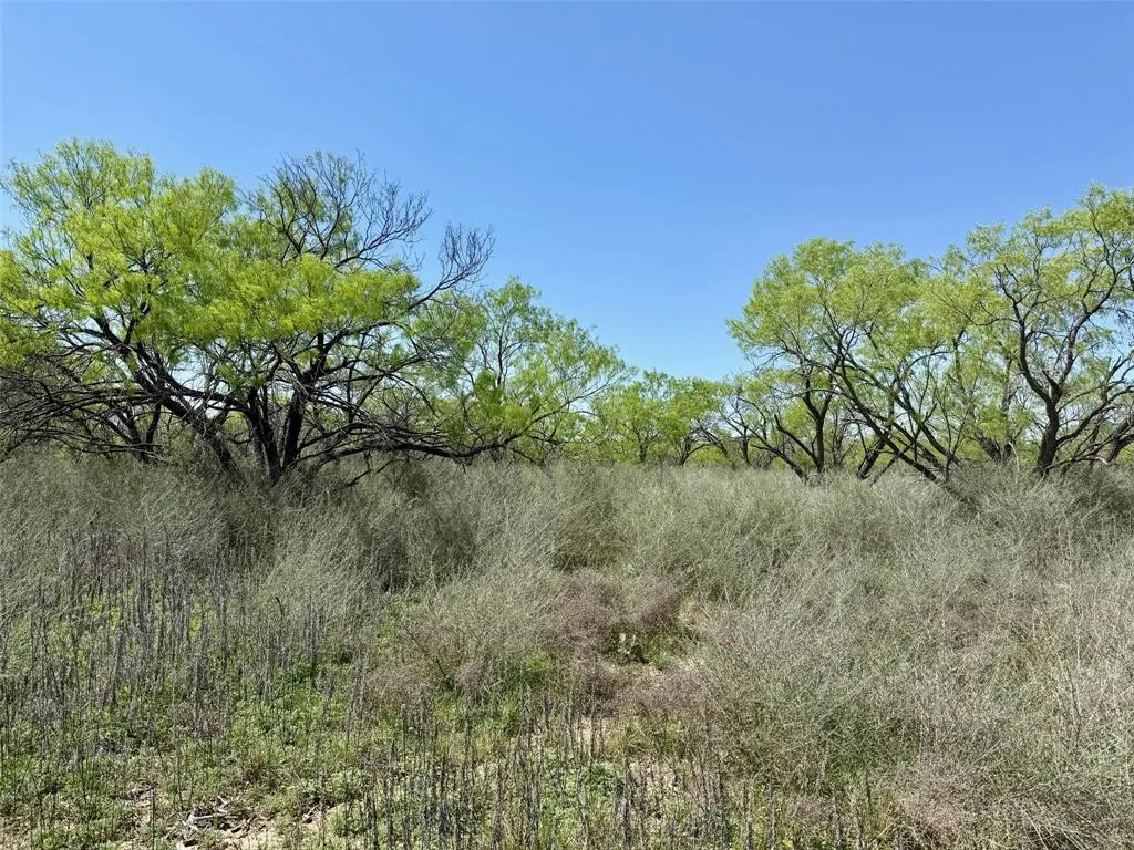 Ranch For Sale in Mc Culloch County , 950 CR 442, Mercury, Texas 76872, 0, 0, Garage spaces, 0 Sqft, built in 0, mls#21414250, Real Estate Agent in Mercury, Homes For Sale in Mc Culloch county, Homes For Sale in Mercury, Realtor in Mercury Texas, Real Estate Brokerage Independent Realty Texas, Luminita Cordes Realtor
